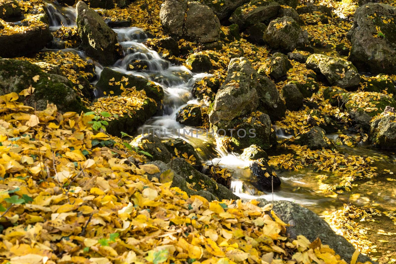 Waterfall in autumn,forest floor with covered foliage