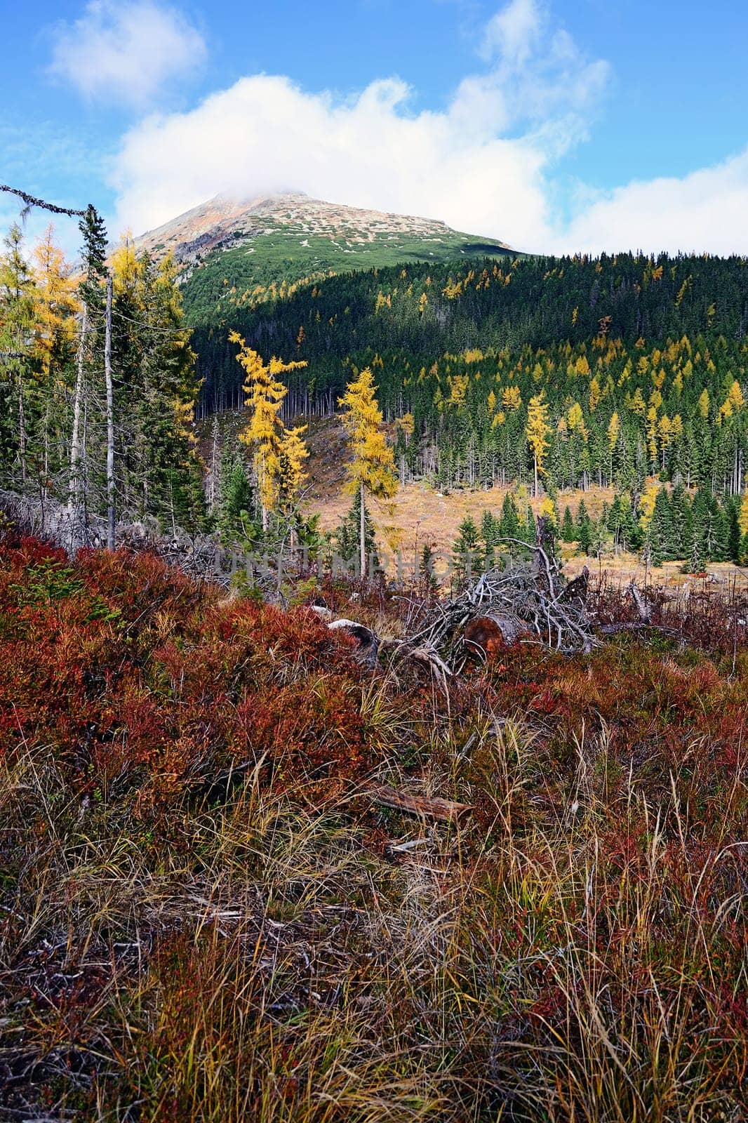 High Tatras Mountains in Slovakia