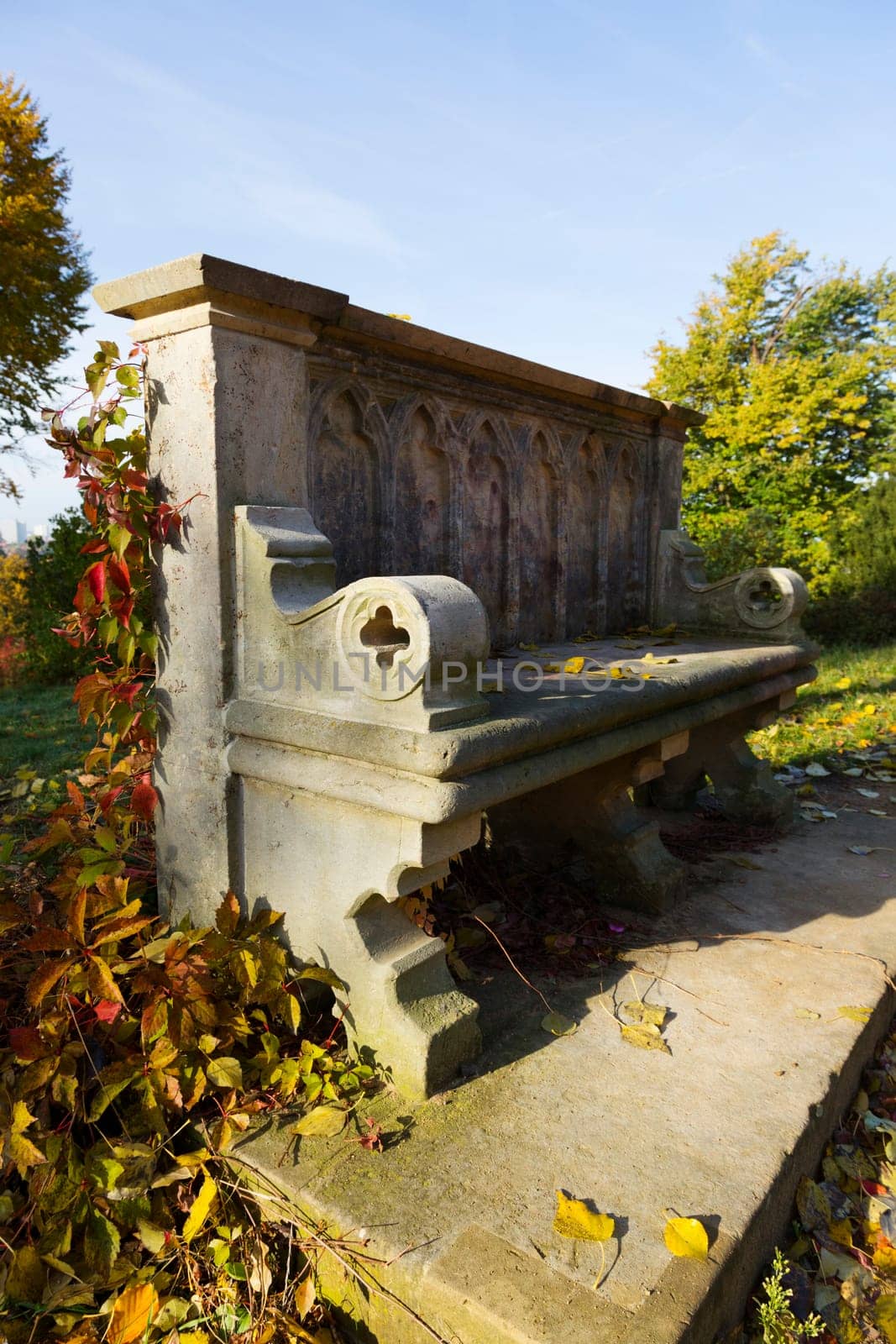 Stone bench covered with wild wine in autumn colours