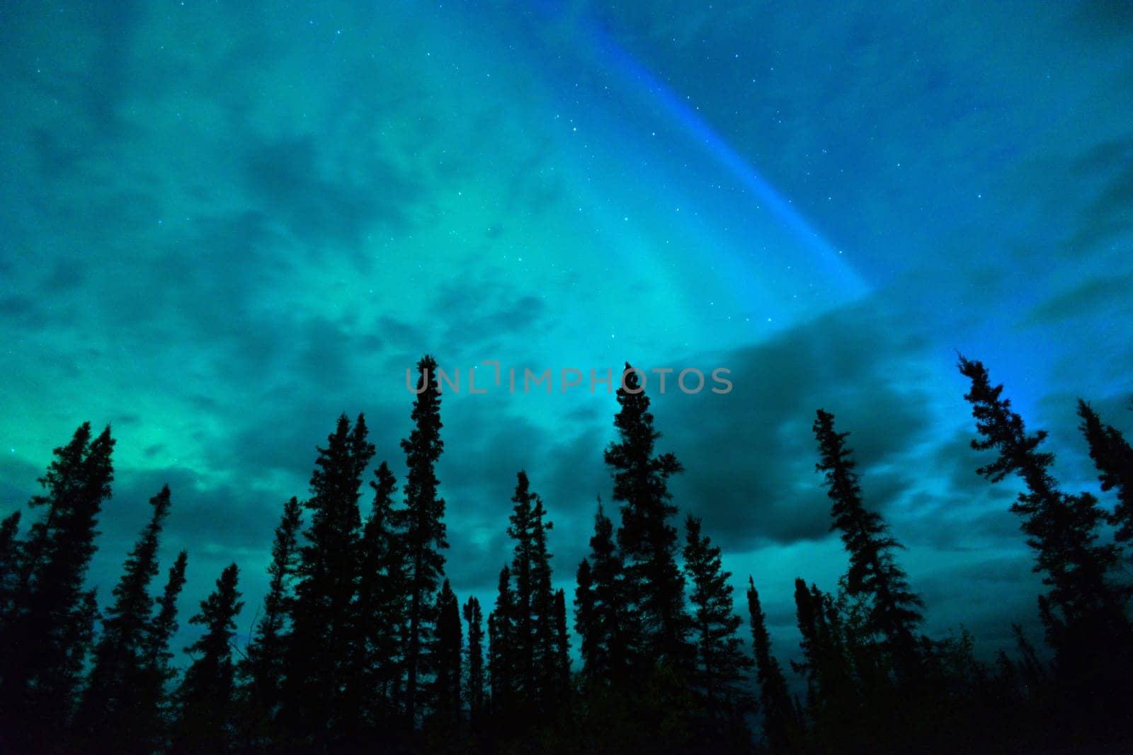 The Northern Lights emerge through the clouds in remote Alaska