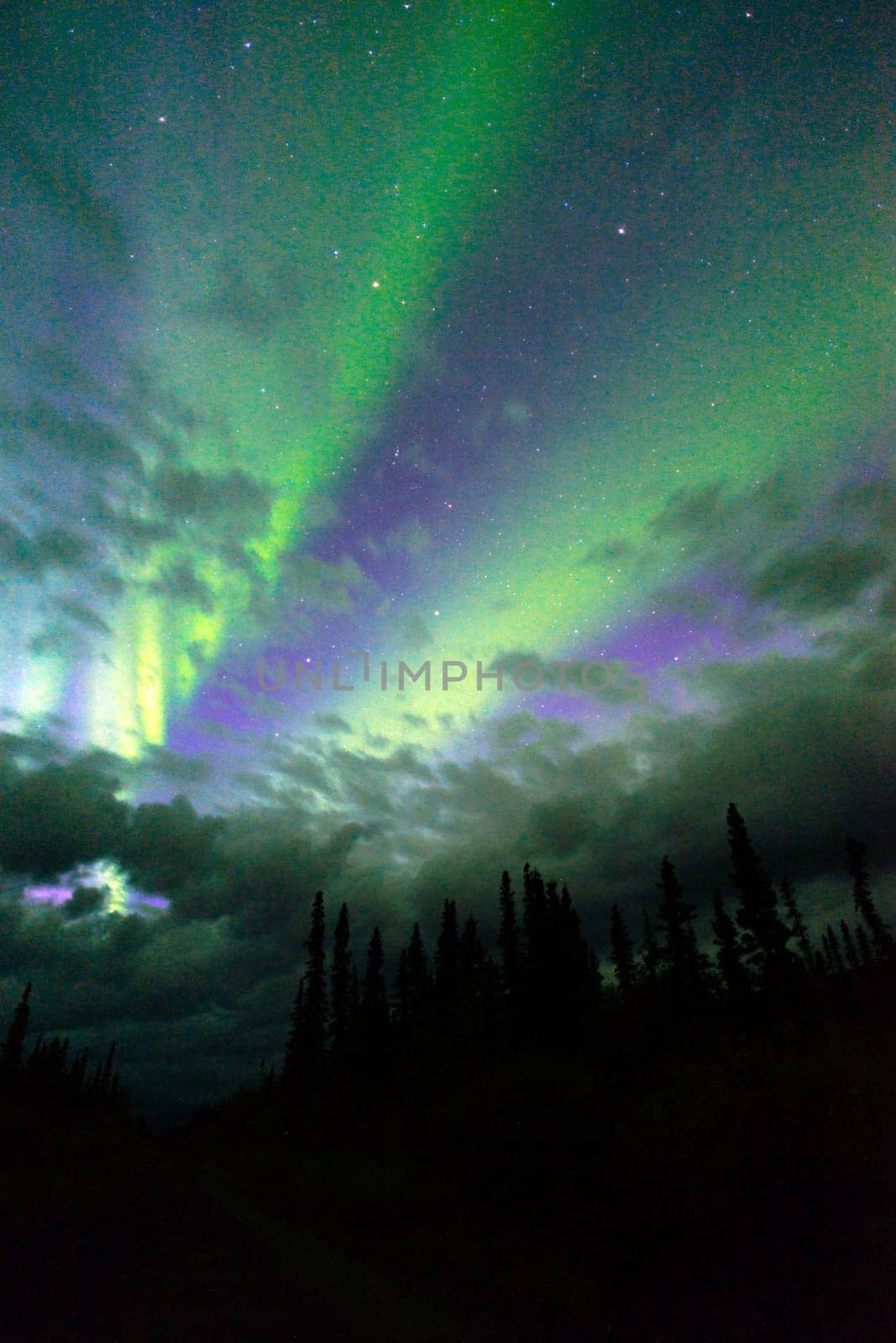 The Northern Lights appear in Wrangell St. Elias National Park