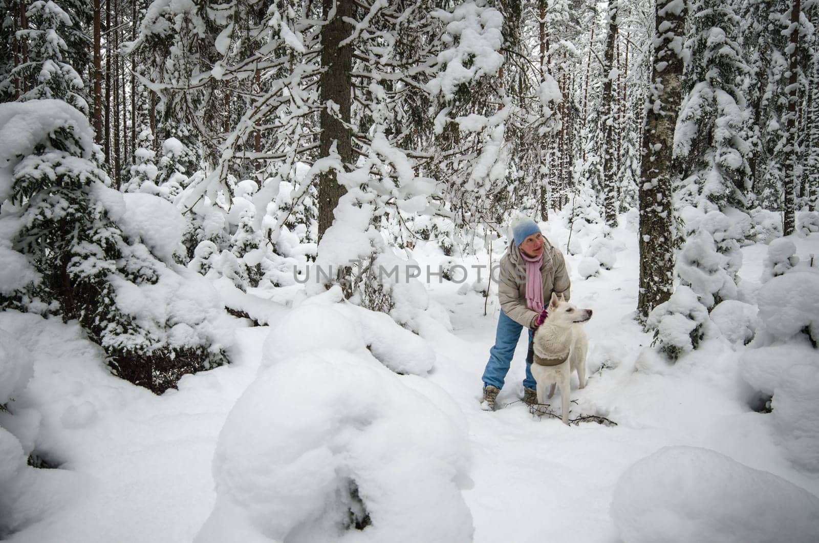 The woman with a dog on walk in a winter wood