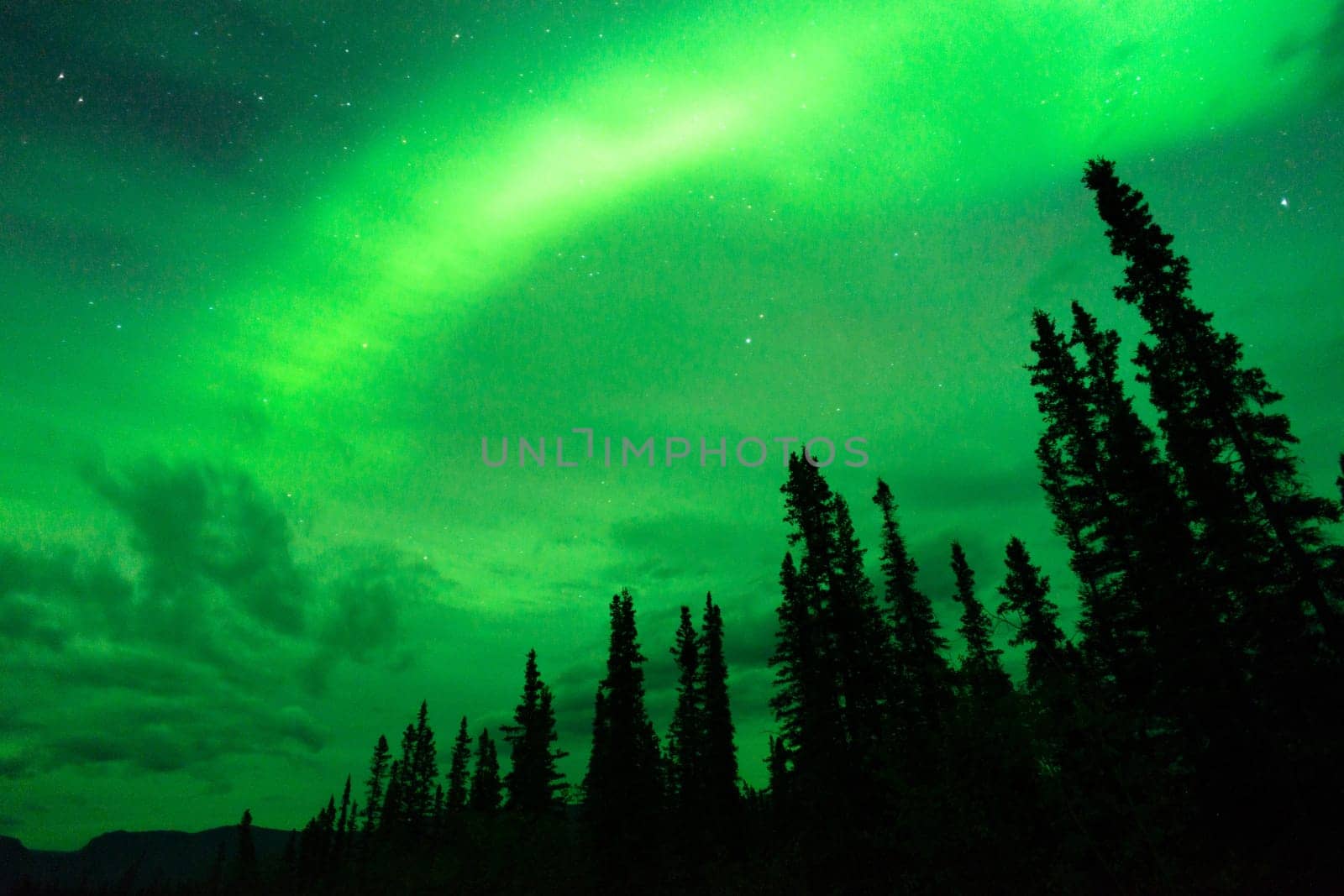 The Northern Lights appear in Wrangell St. Elias National Park