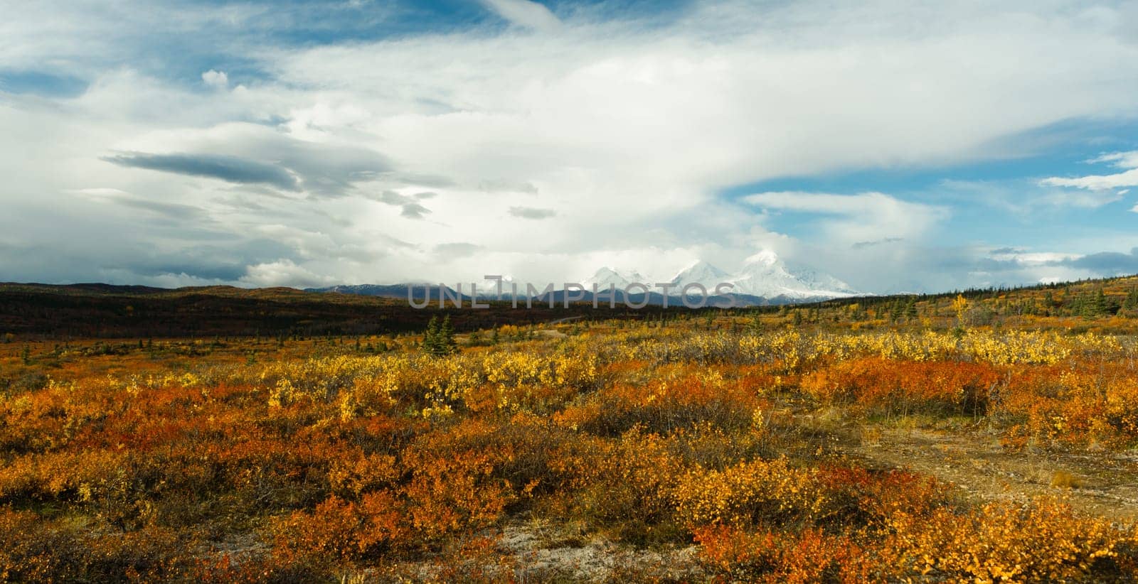 The tundra reacts to the weather in remote Alaska