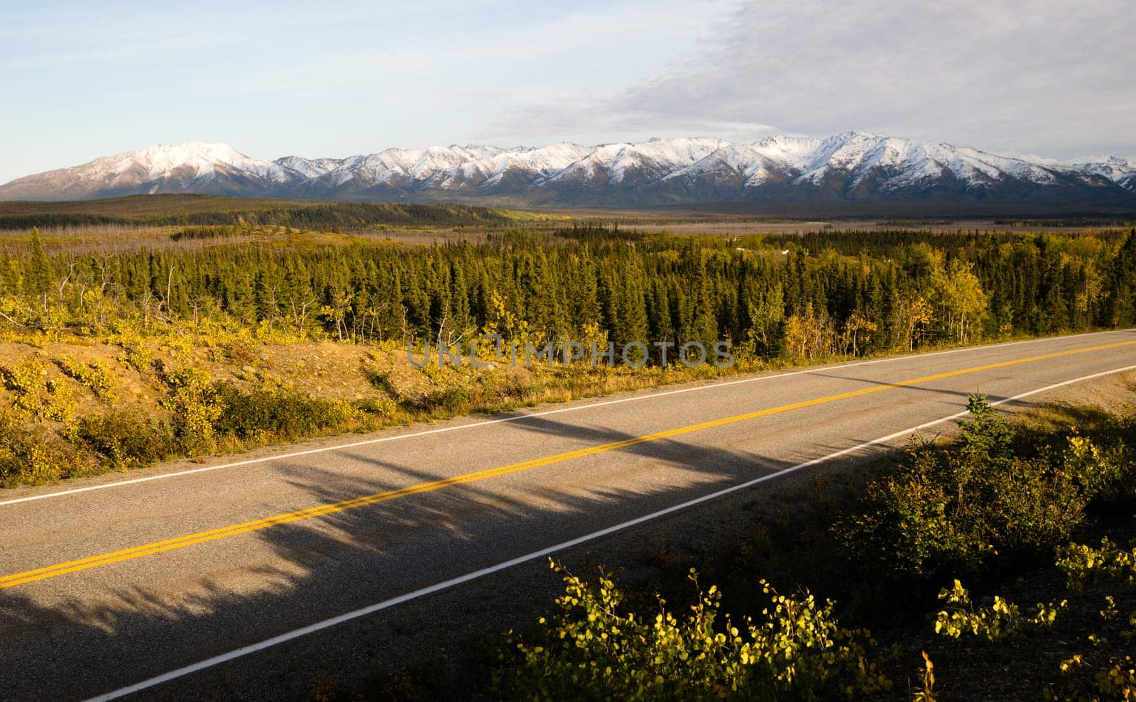 The highway cuts past the last tundra before turning into the mountains