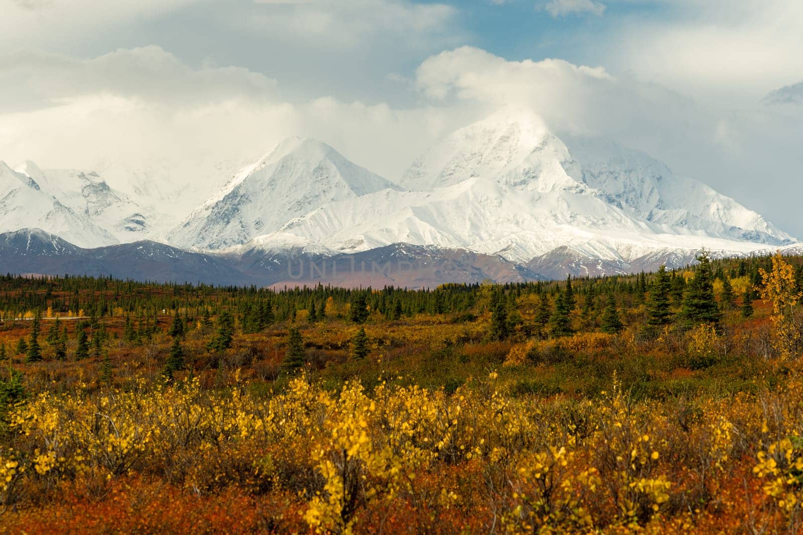 The tundra reacts to the weather in remote Alaska