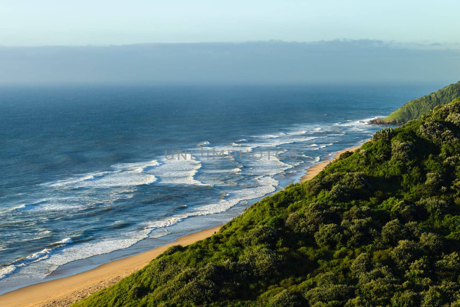 Ocean Beach Headland bluff covered trees,vegetation rural countryside coastline