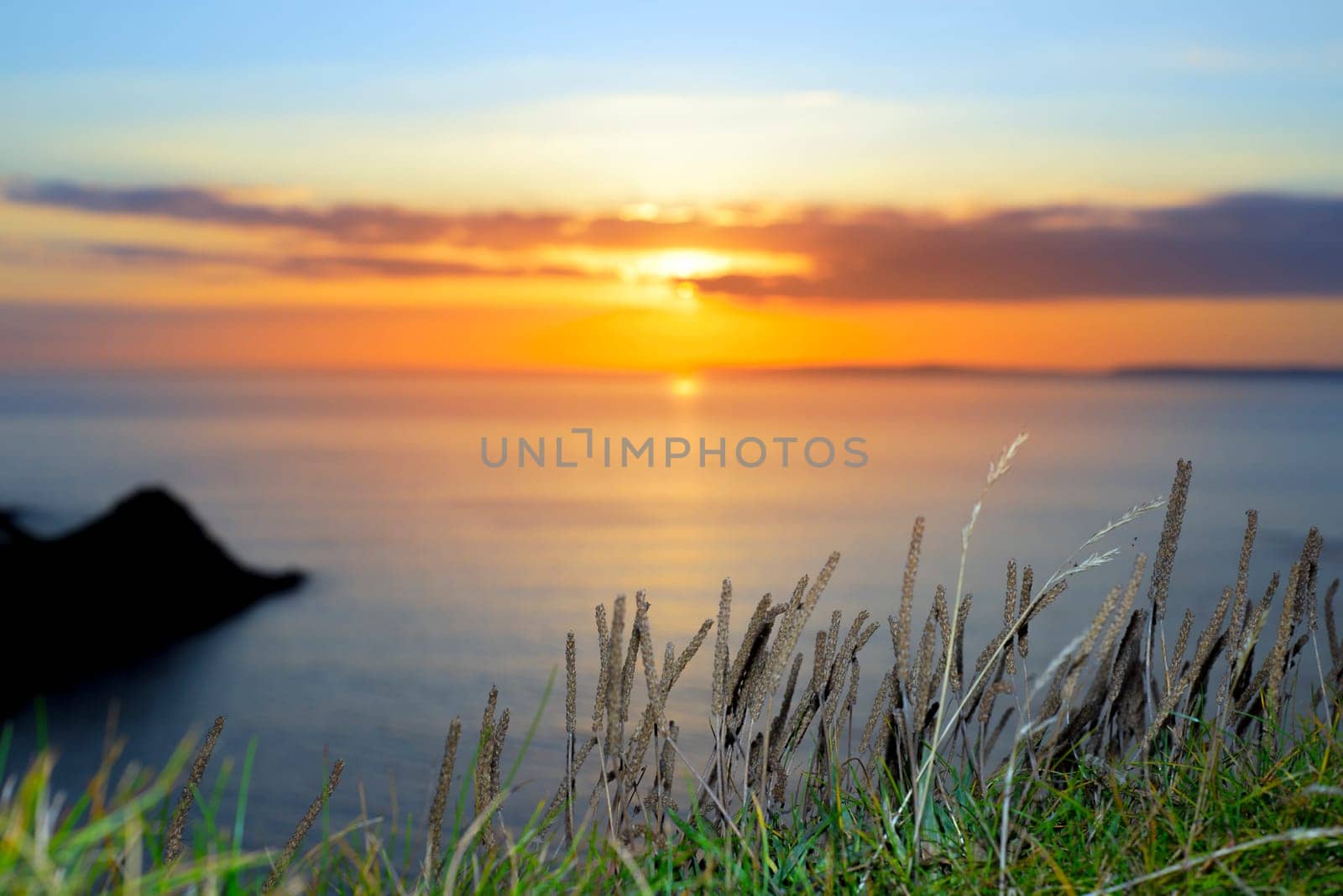 beautiful serene sunset over loop head with the wild tall grass on the wild atlantic way in ireland