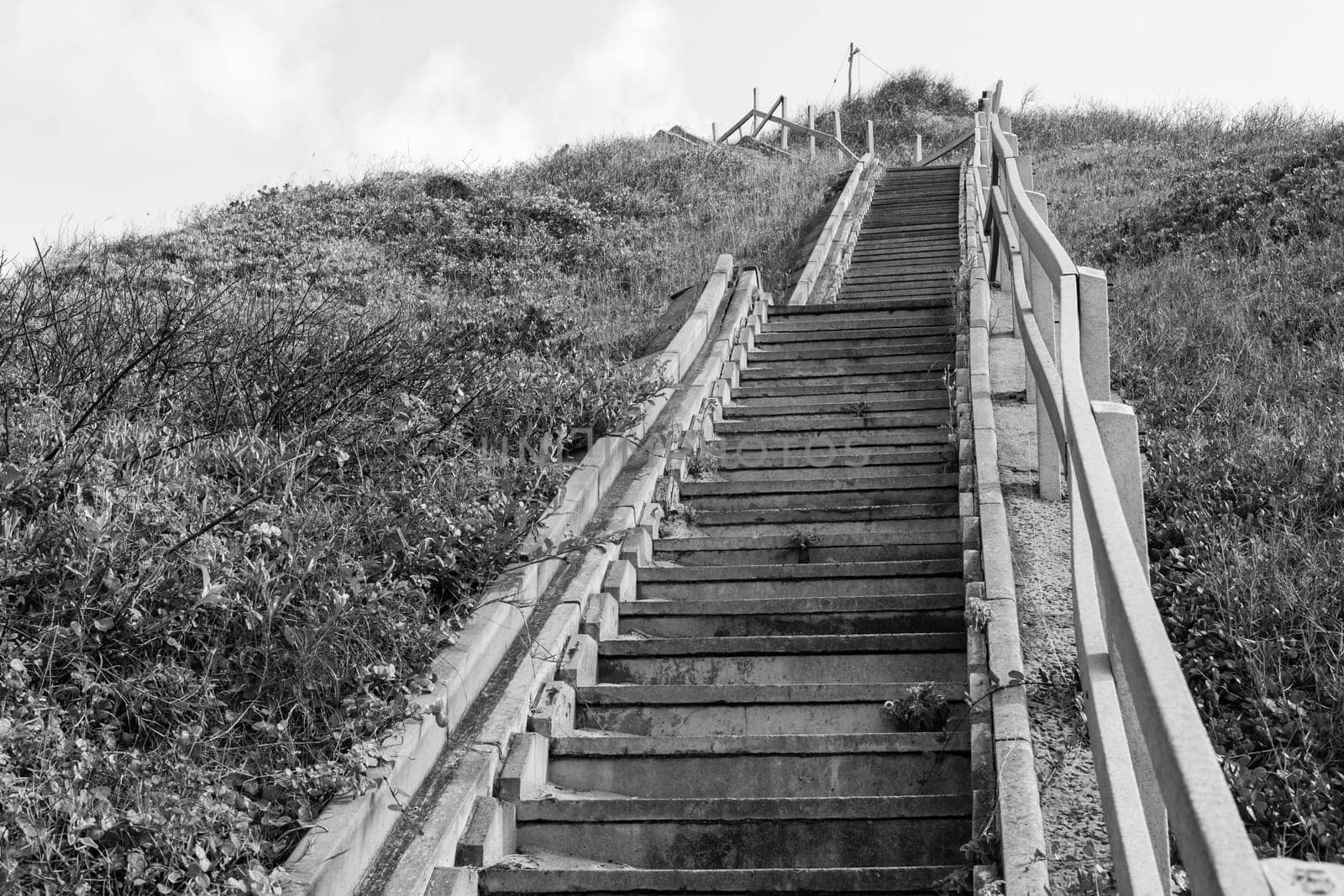 Stairs up hillside in black and white vintage tone