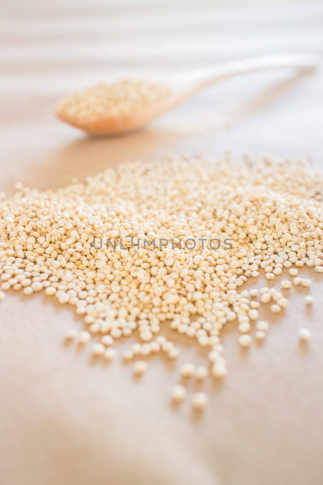Raw organic white quinoa seeds, stock photo