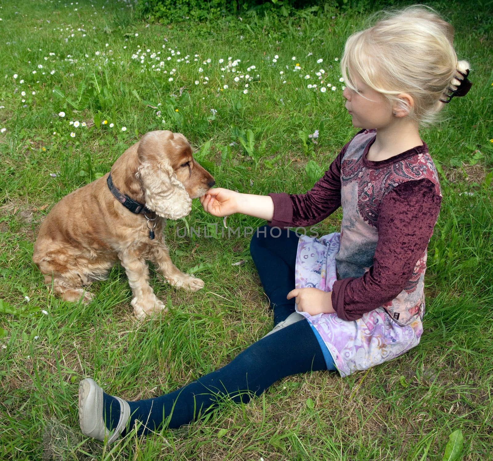 Maedchen,Play,Dog
