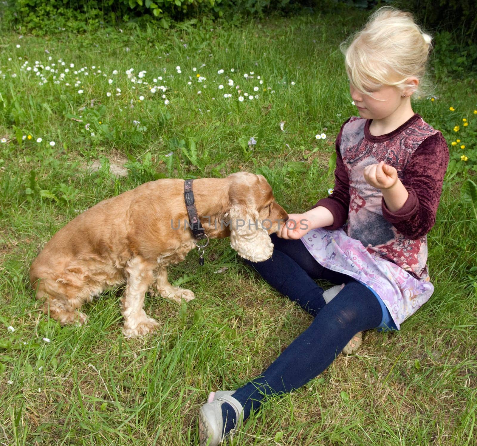 Maedchen,Play,Dog