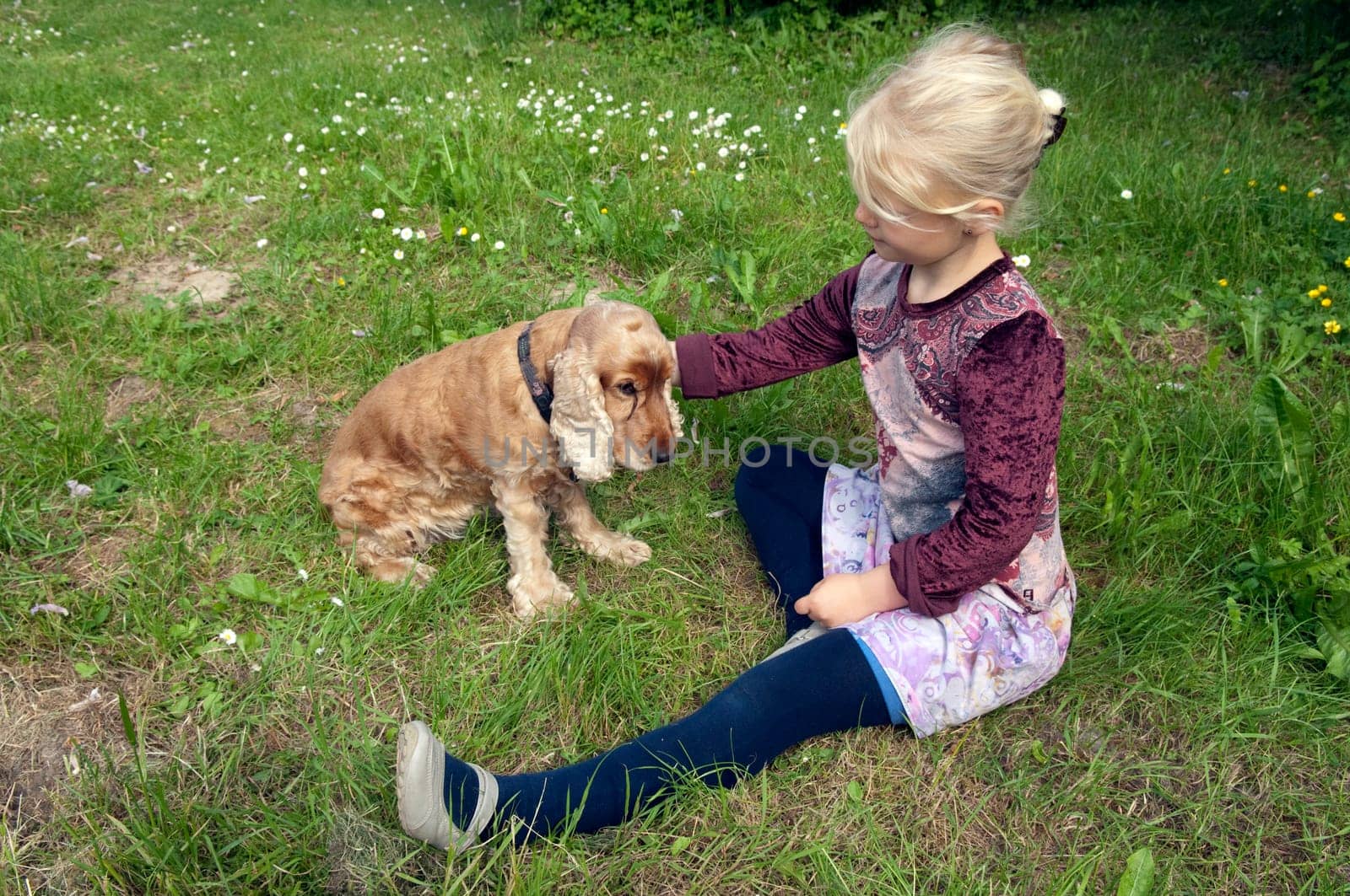Maedchen,Play,Dog