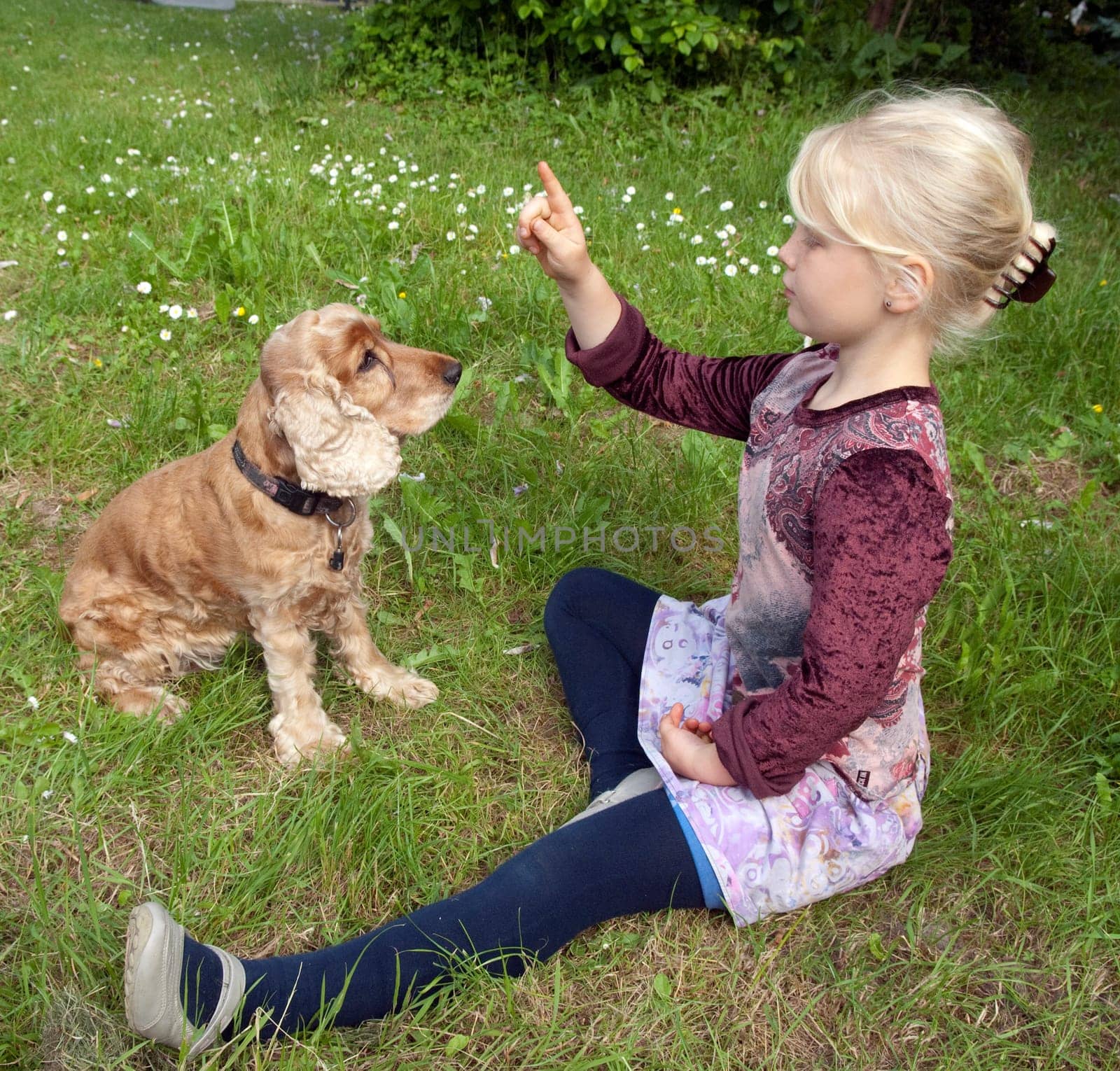 Maedchen,Play,Dog