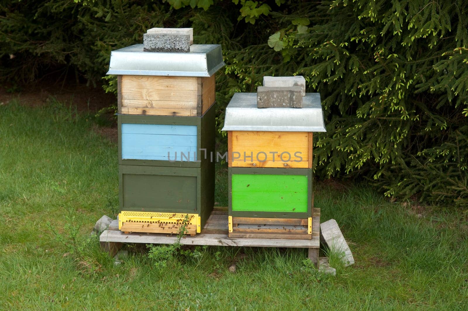 Beehive,honey box