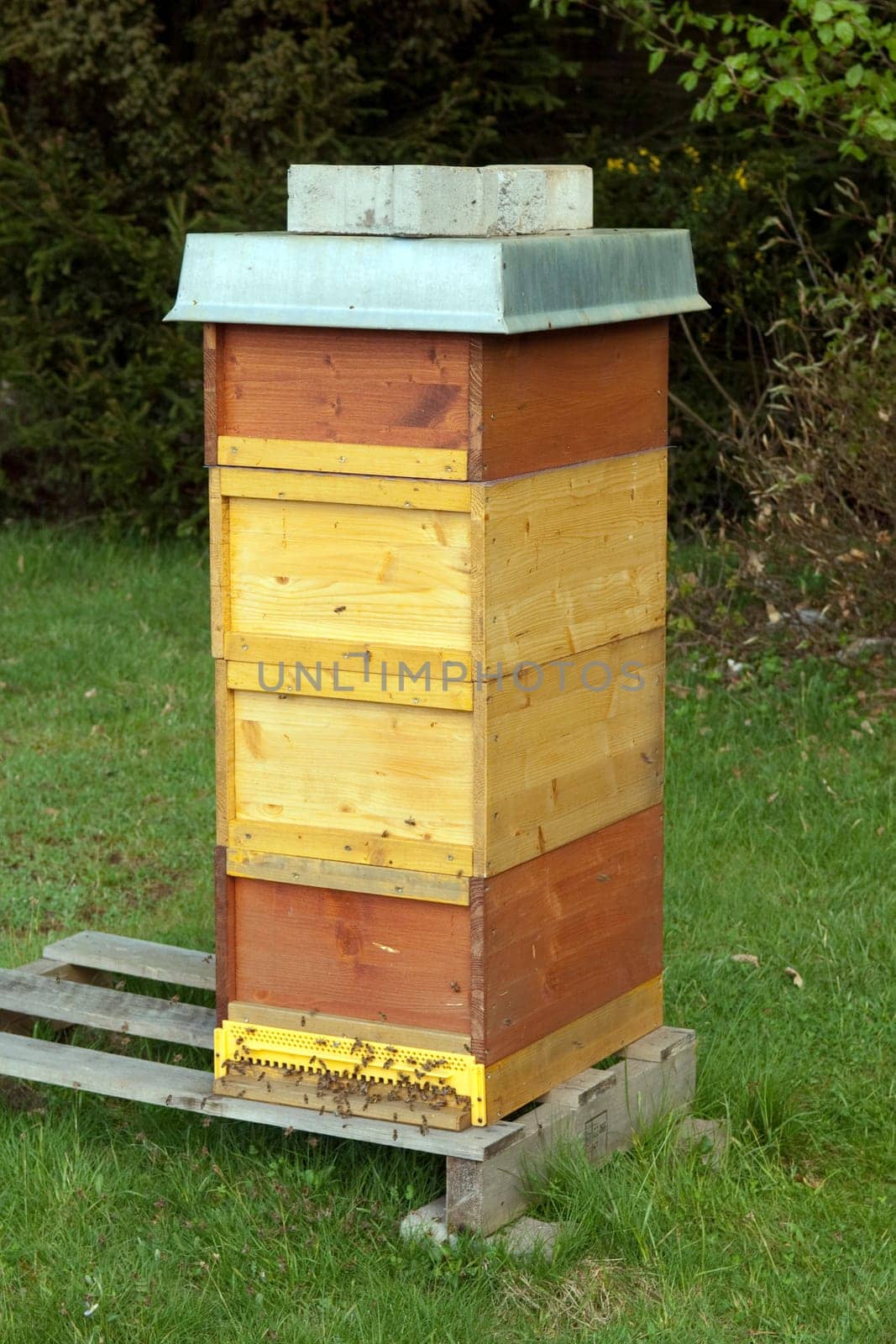 Beehive,honey box