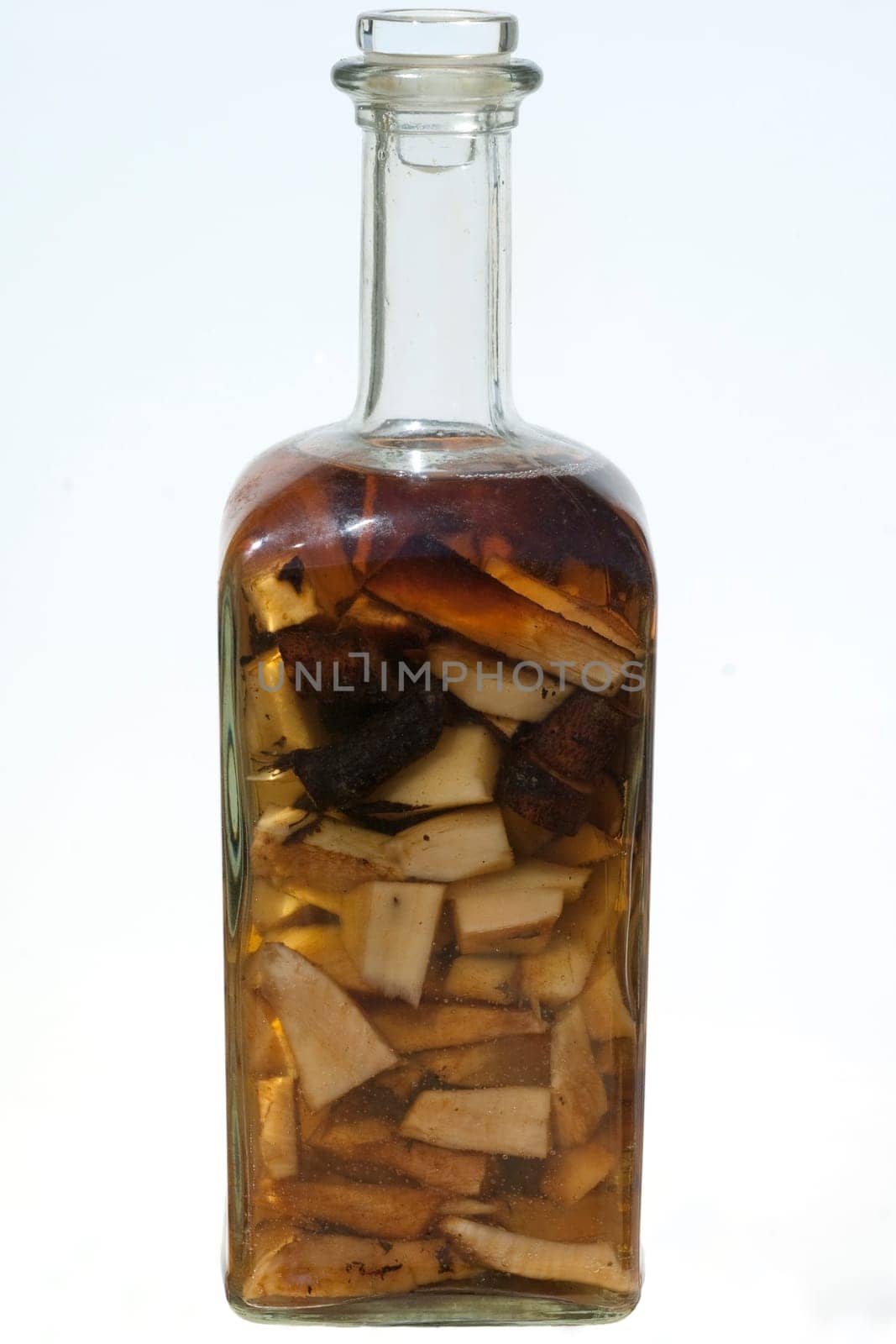 Beinwell  Root,bottle,attachment,leg corrugated roots