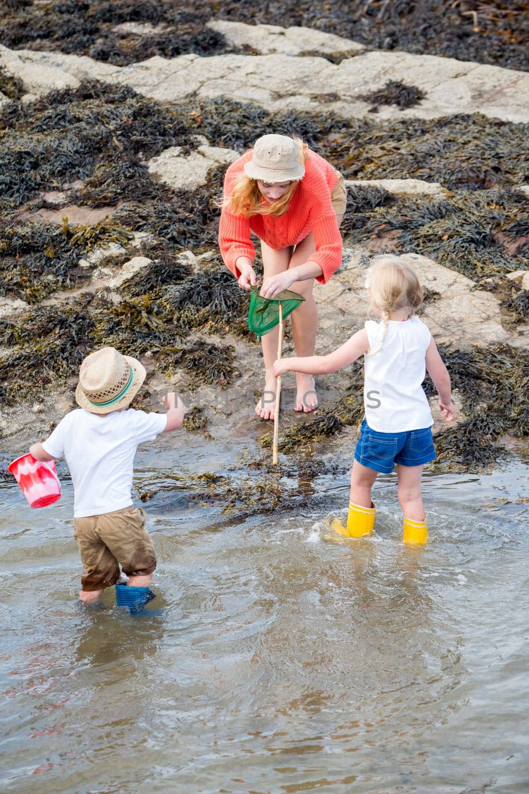 Young family searching for creatures in rock pools at the beach