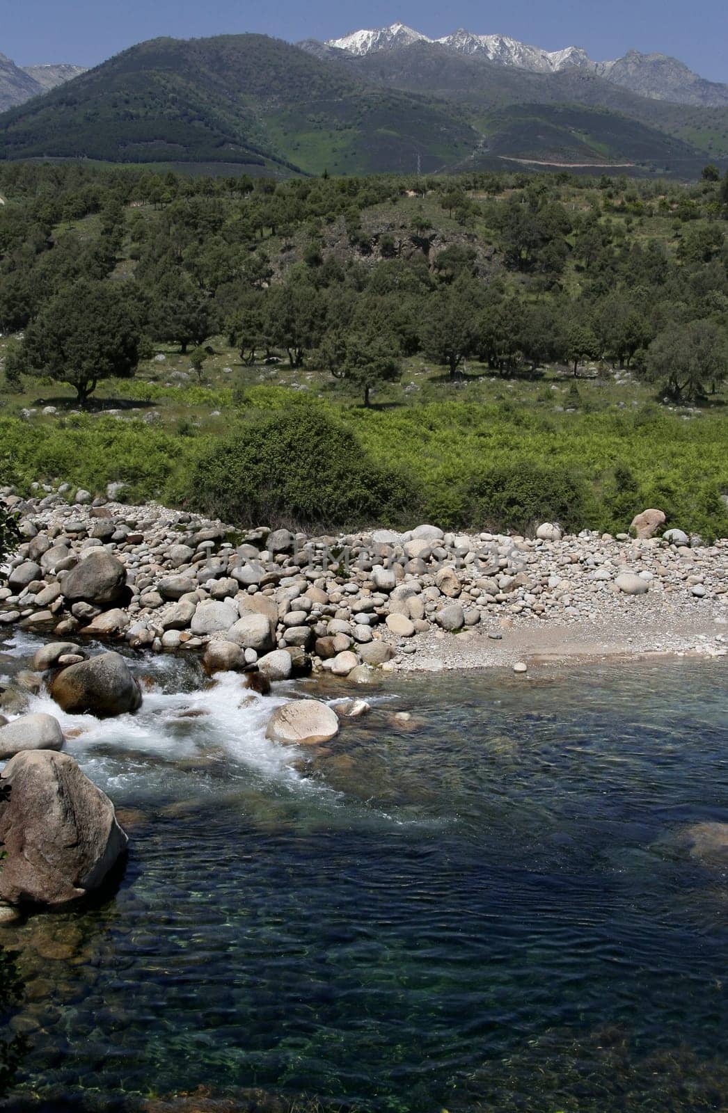 Natural environment of Alardos ravine in Madrigal de la Vera, Vera county, Caceres, Spain
