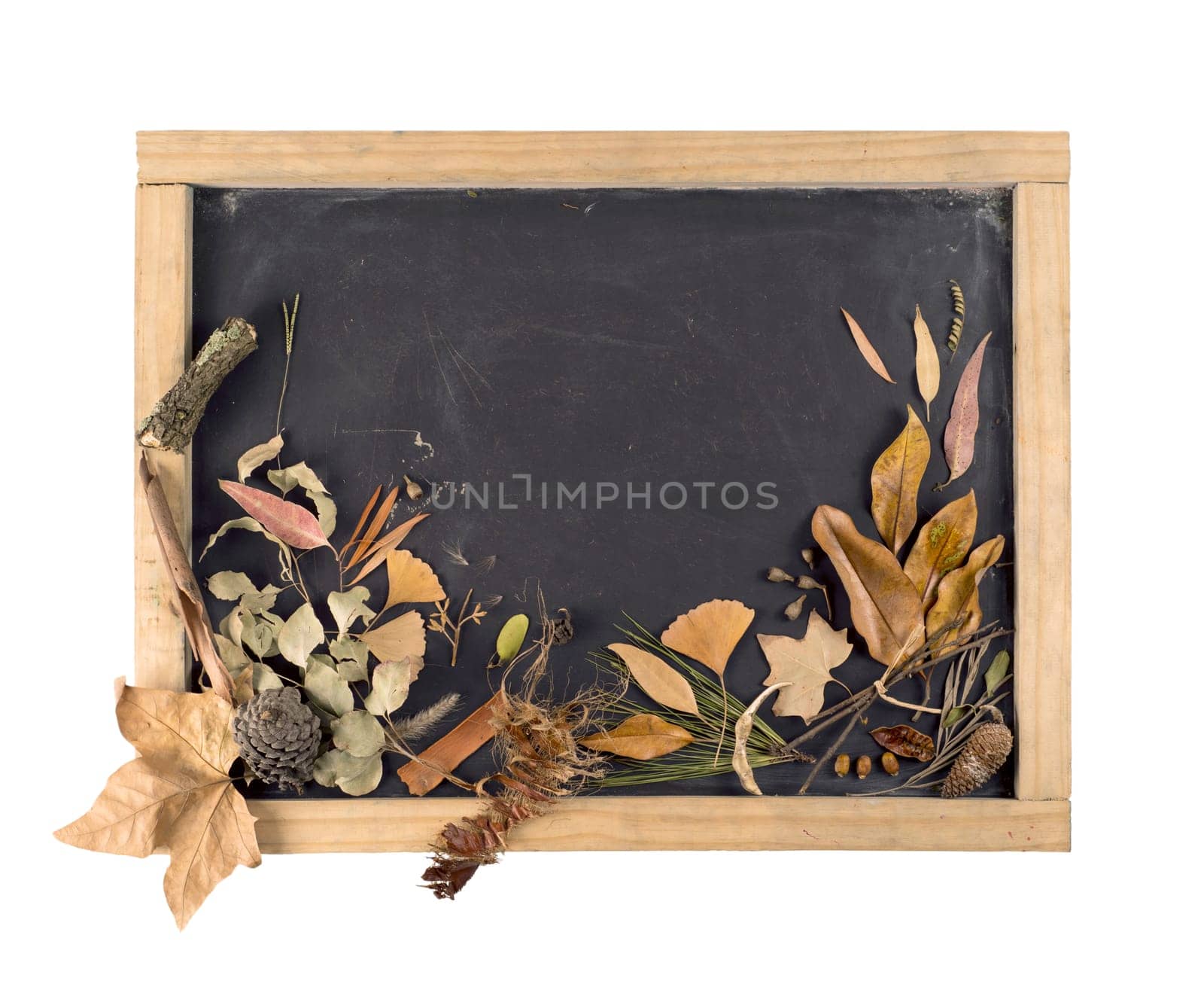 Fall composition
