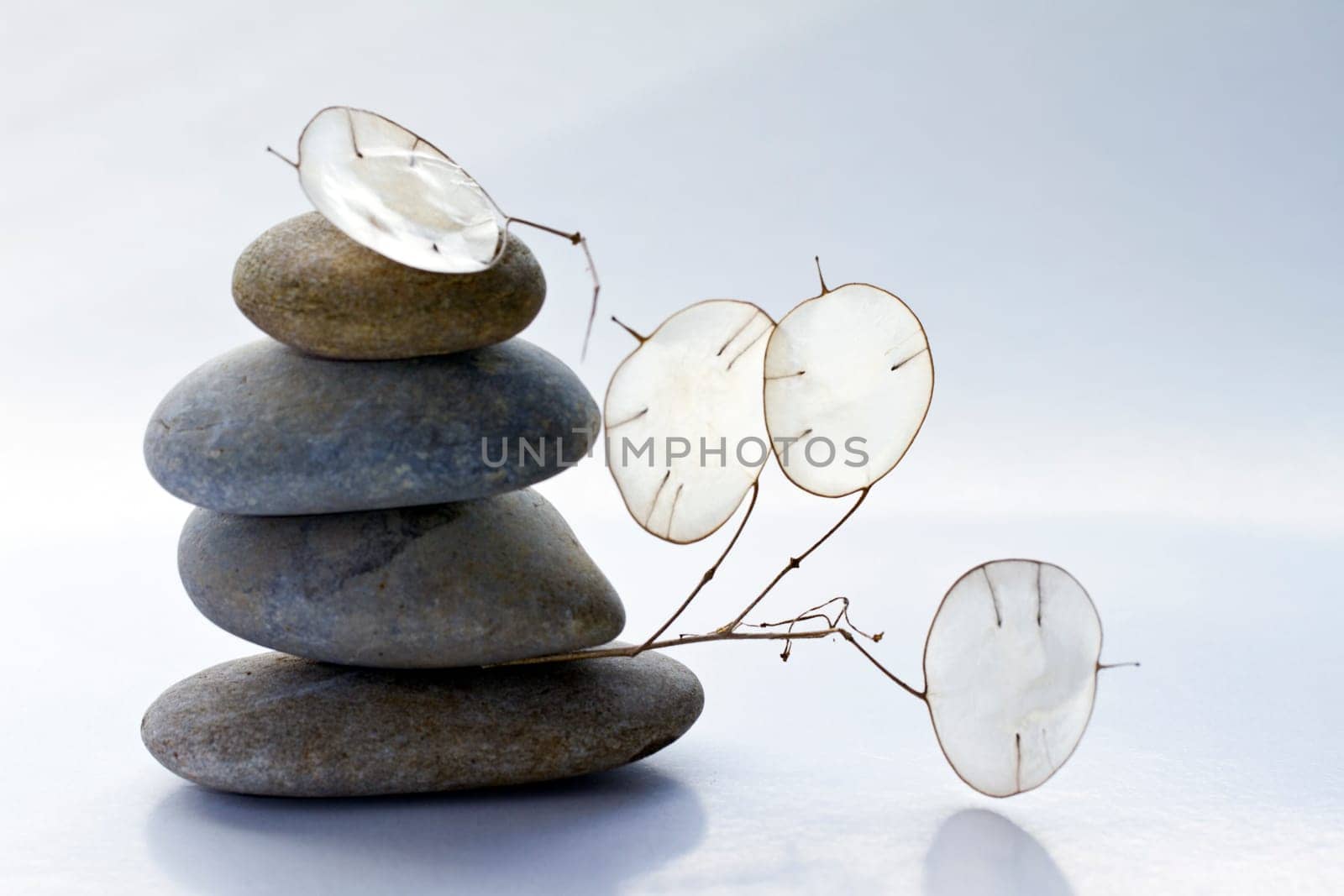 silver Balance