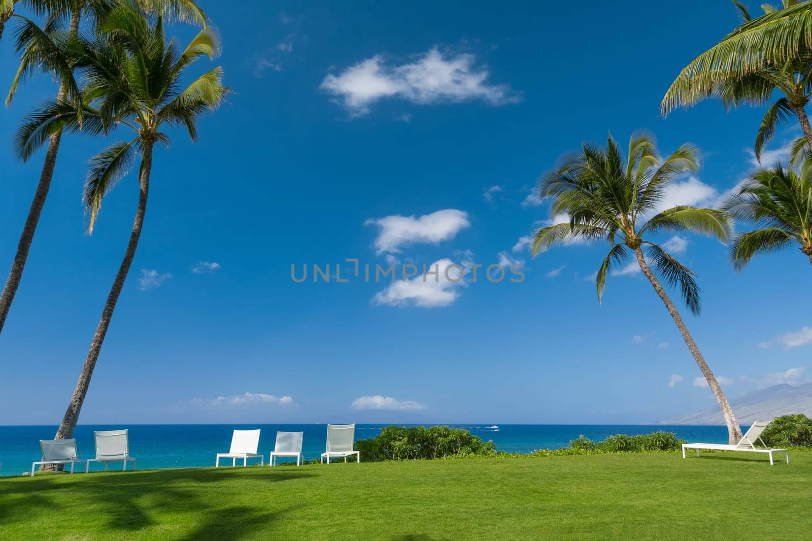 Tropical beach with palm trees