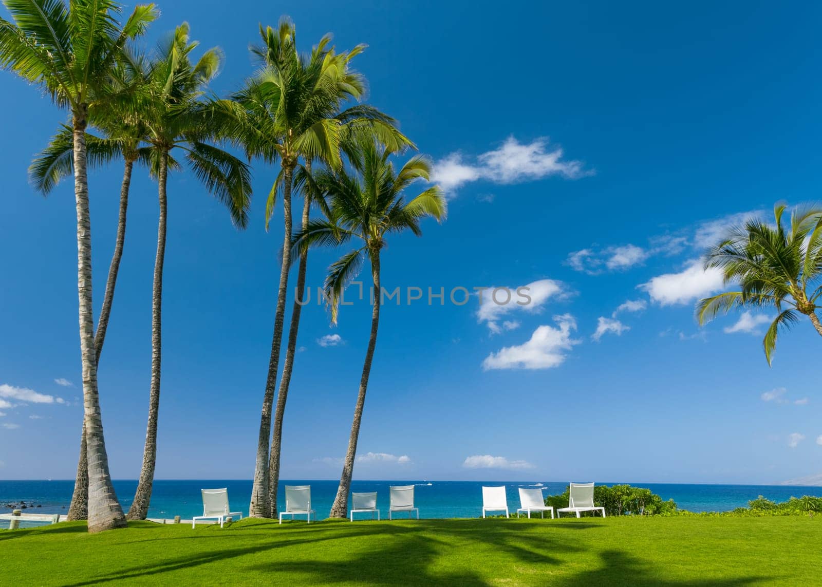 Tropical beach with palm trees