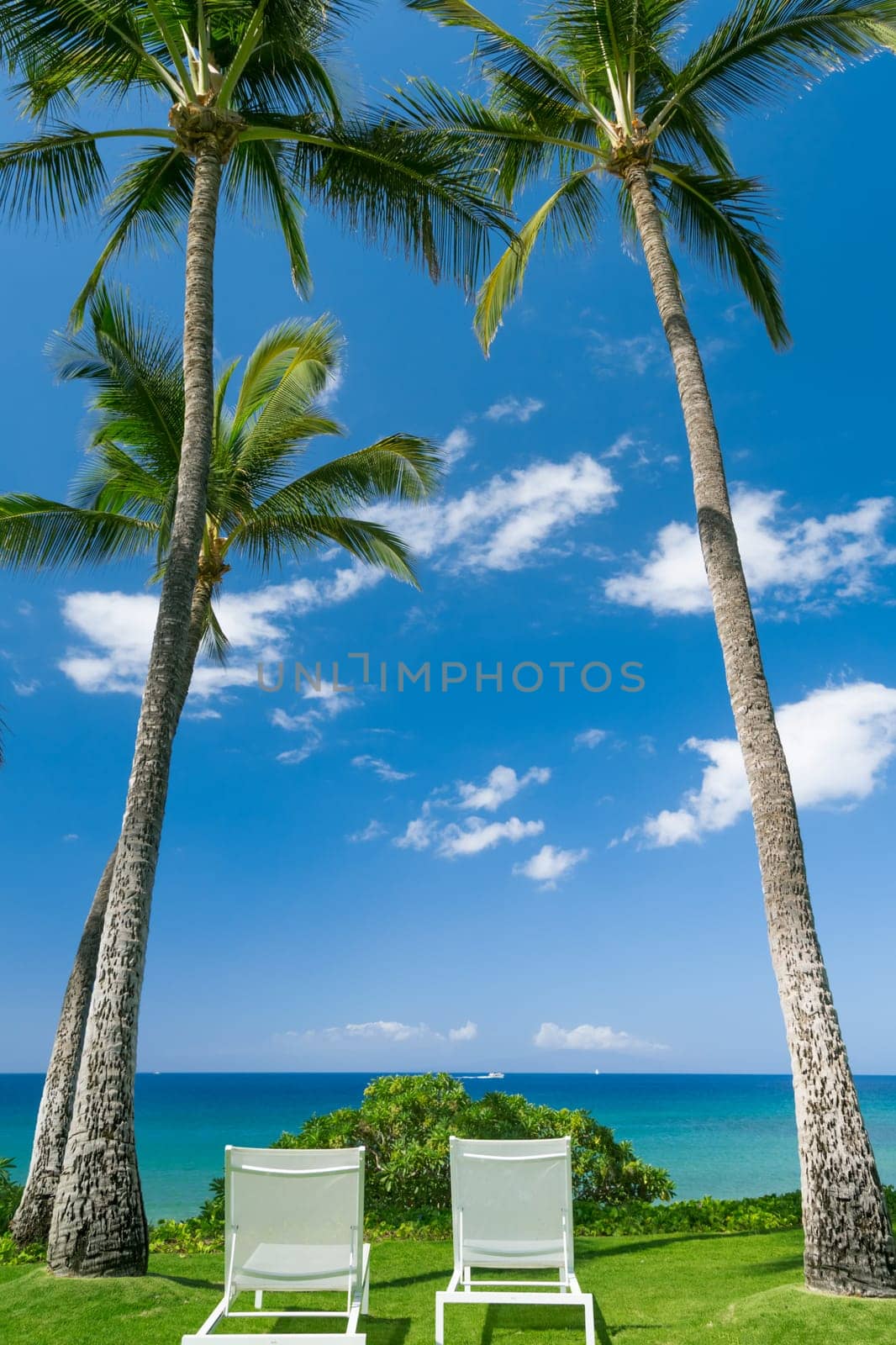 Tropical beach with palm trees