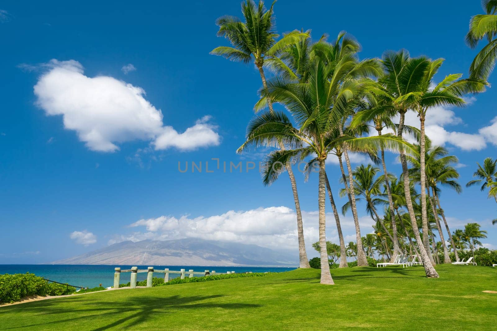 Tropical beach with palm trees