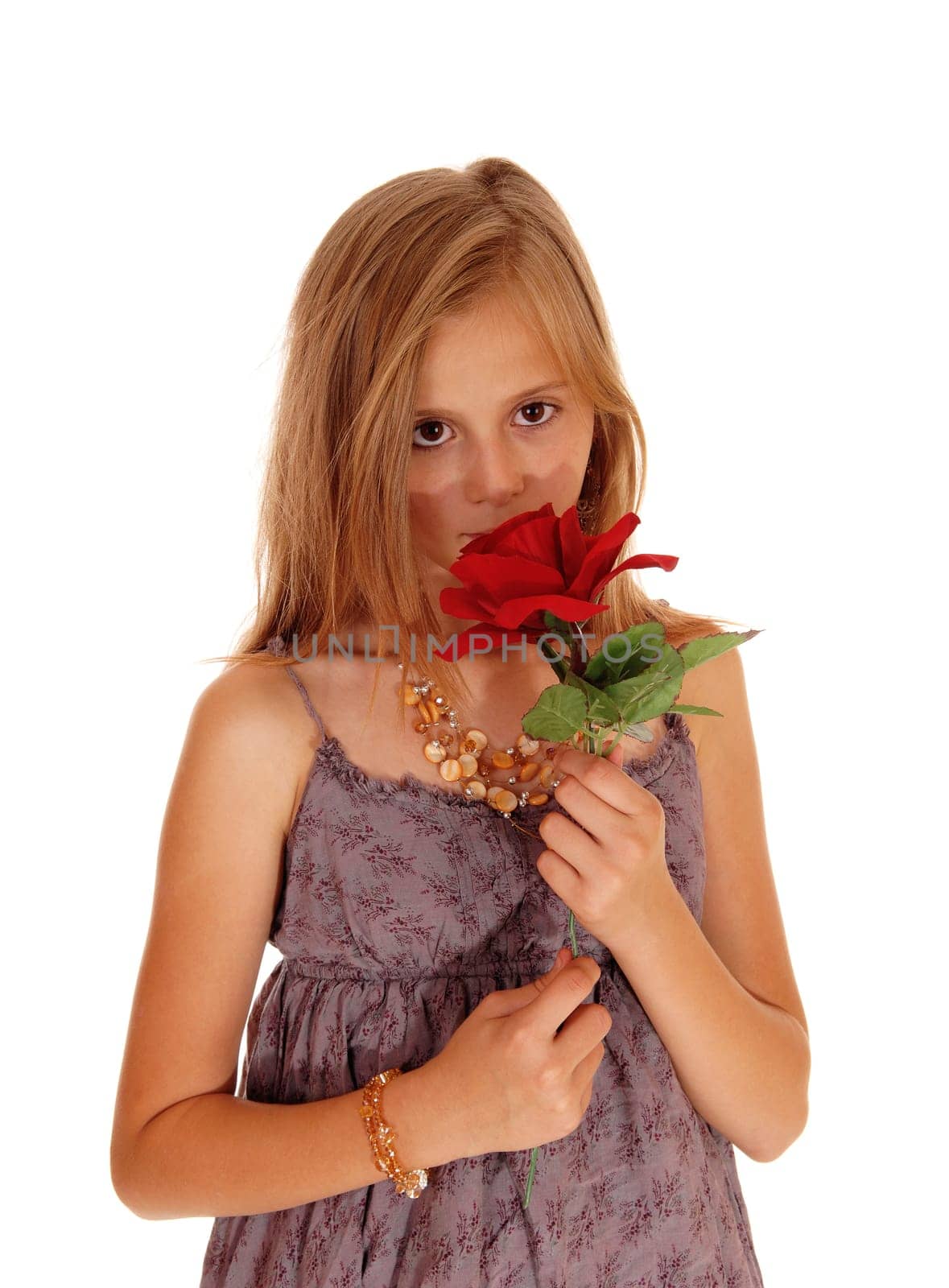 A pretty young girl in a burgundy dress holding up a red roses, smiling it,.isolated for white background..