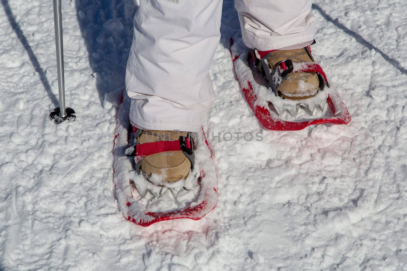 Walking on snow rackets in the mountains