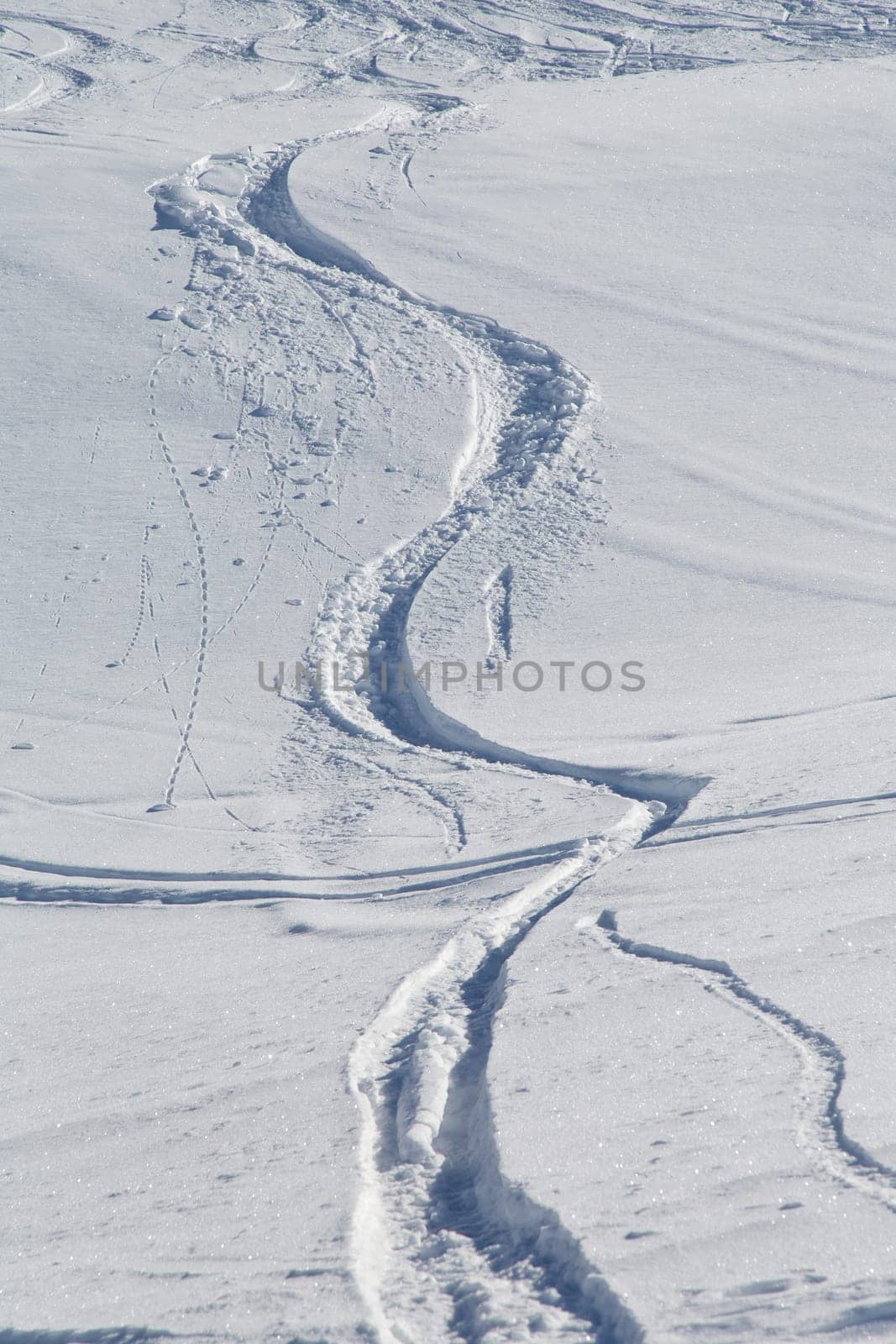 Ski slopes in the fresh snow coming from the mountain