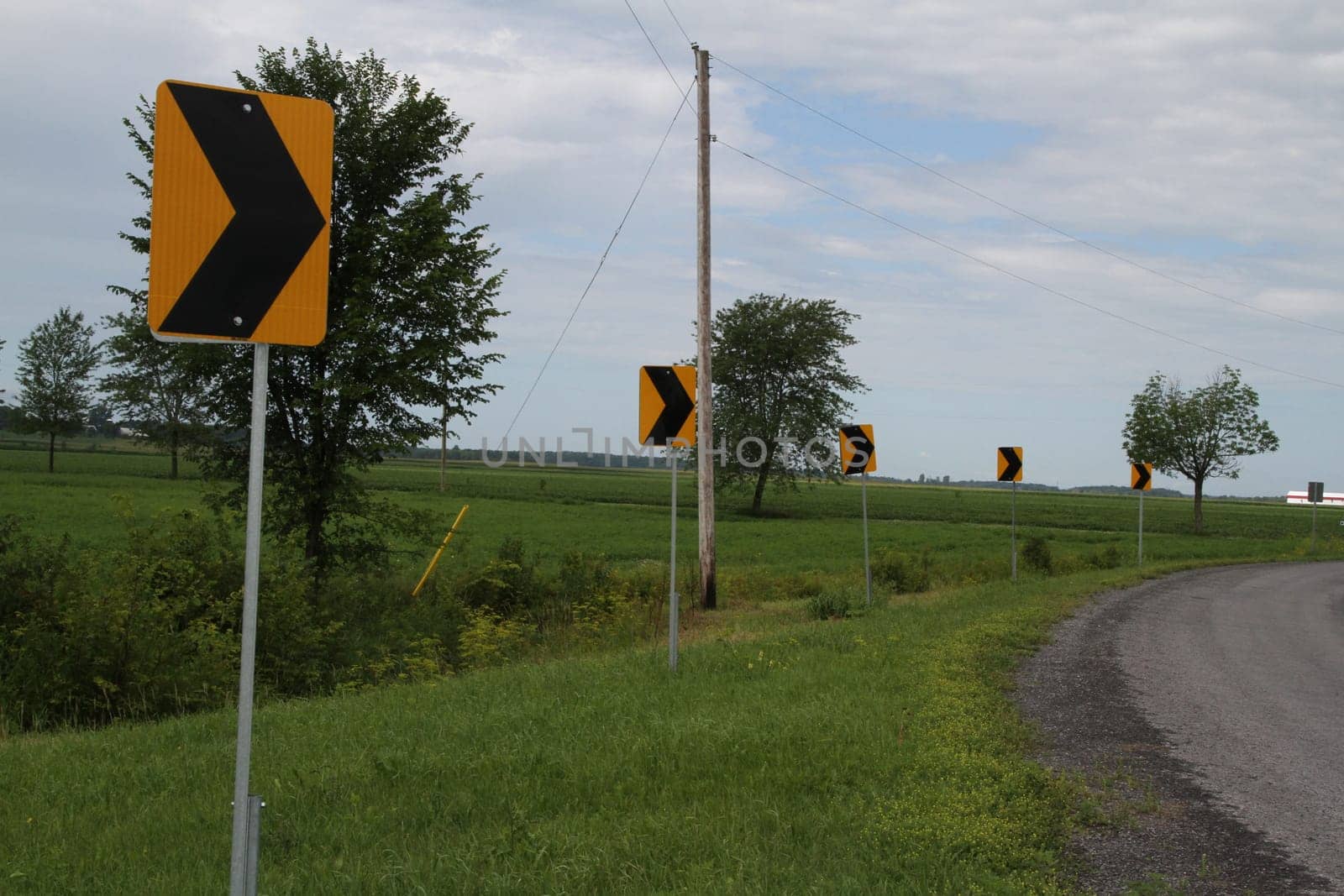 Yellow signs with black arrows showing the turn on street