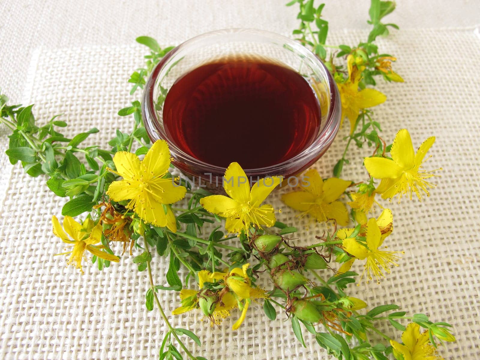 St. John's Wort Oil