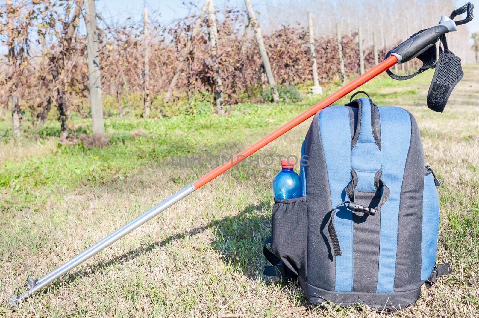 Backpack and sticks to do nordic walking on country roads.