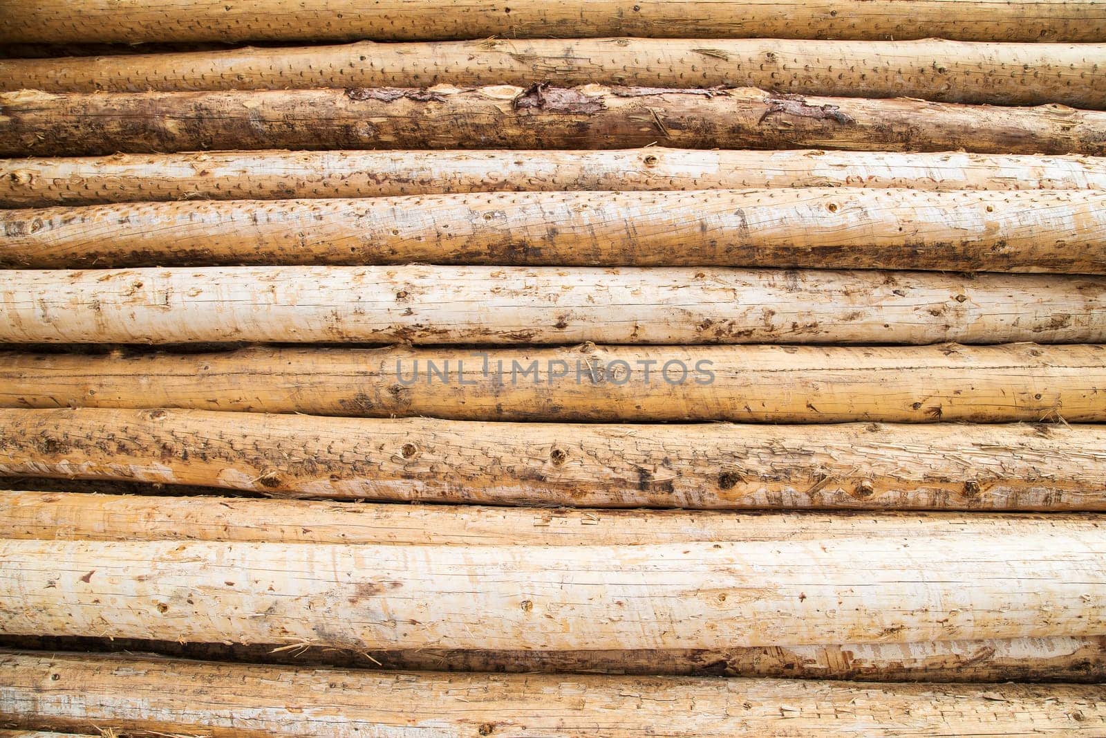 pile of wood shavings great detail, fantastic for backgrounds