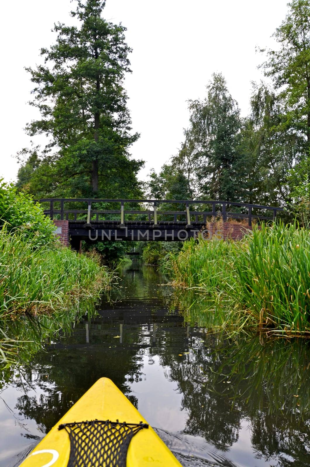 In the Spreewald
