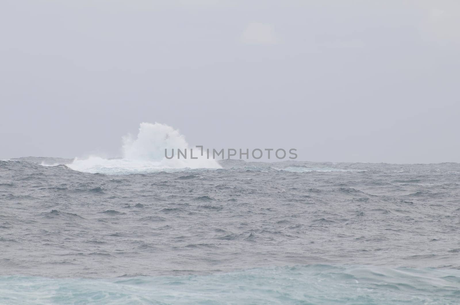 tossing sea on sao miguel