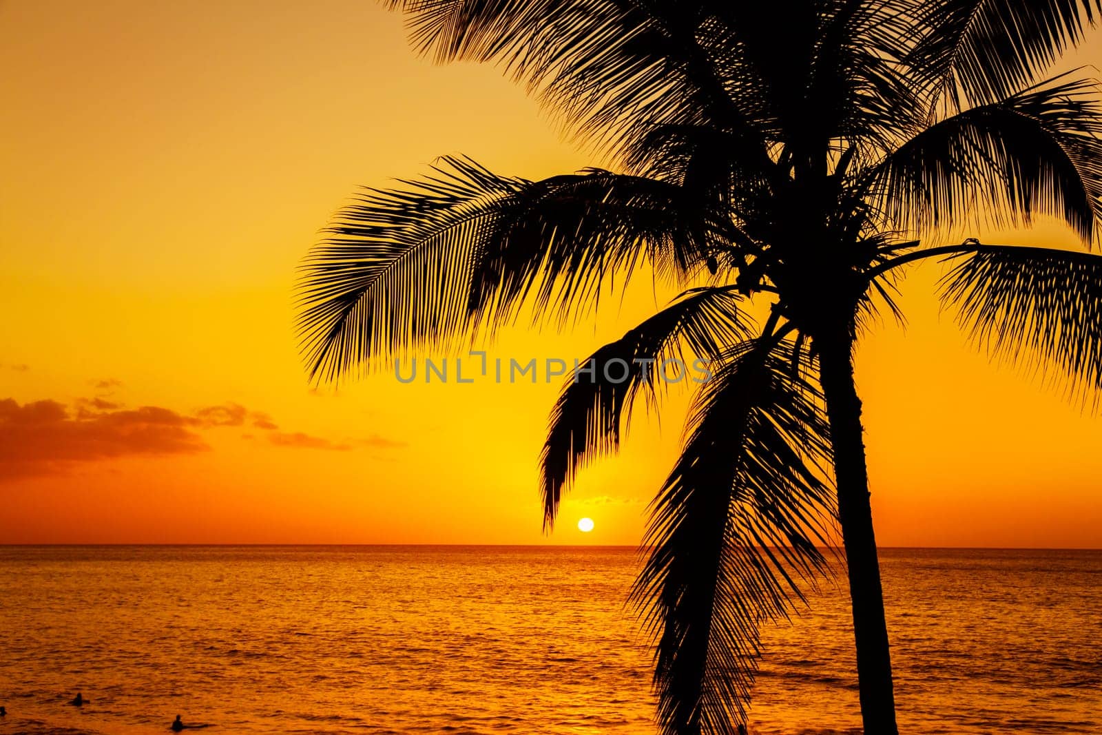 Golden tropical sunset
