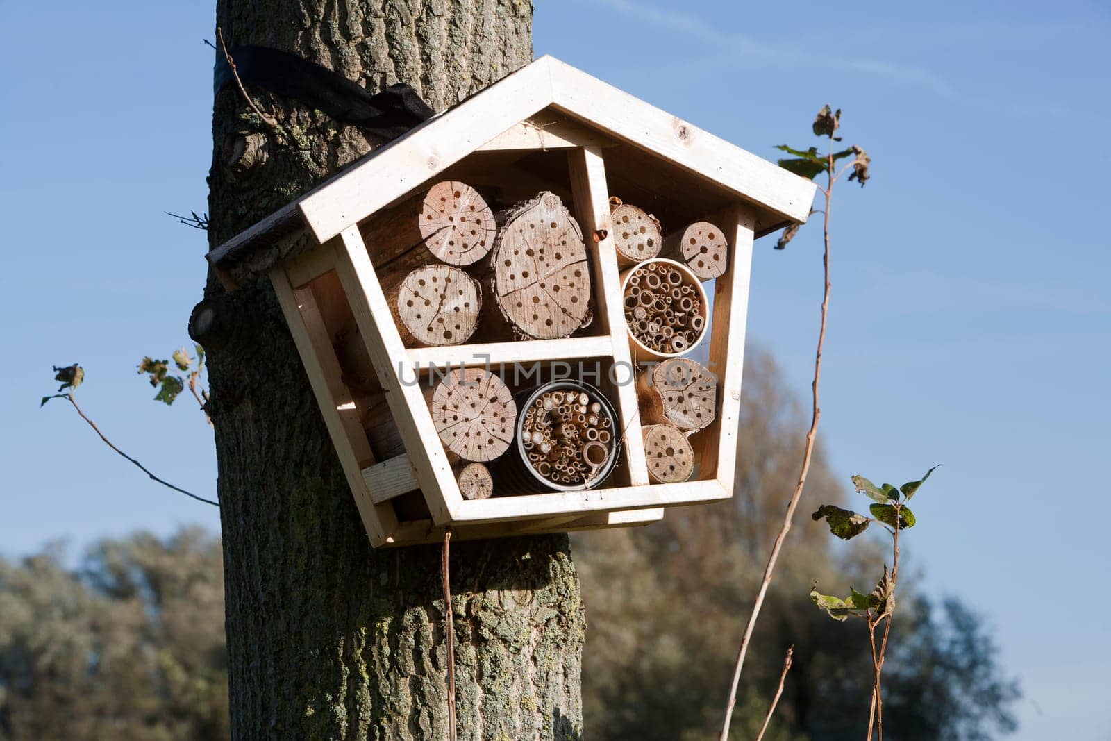Solitary bee hotel is a shelter for different kind of insects