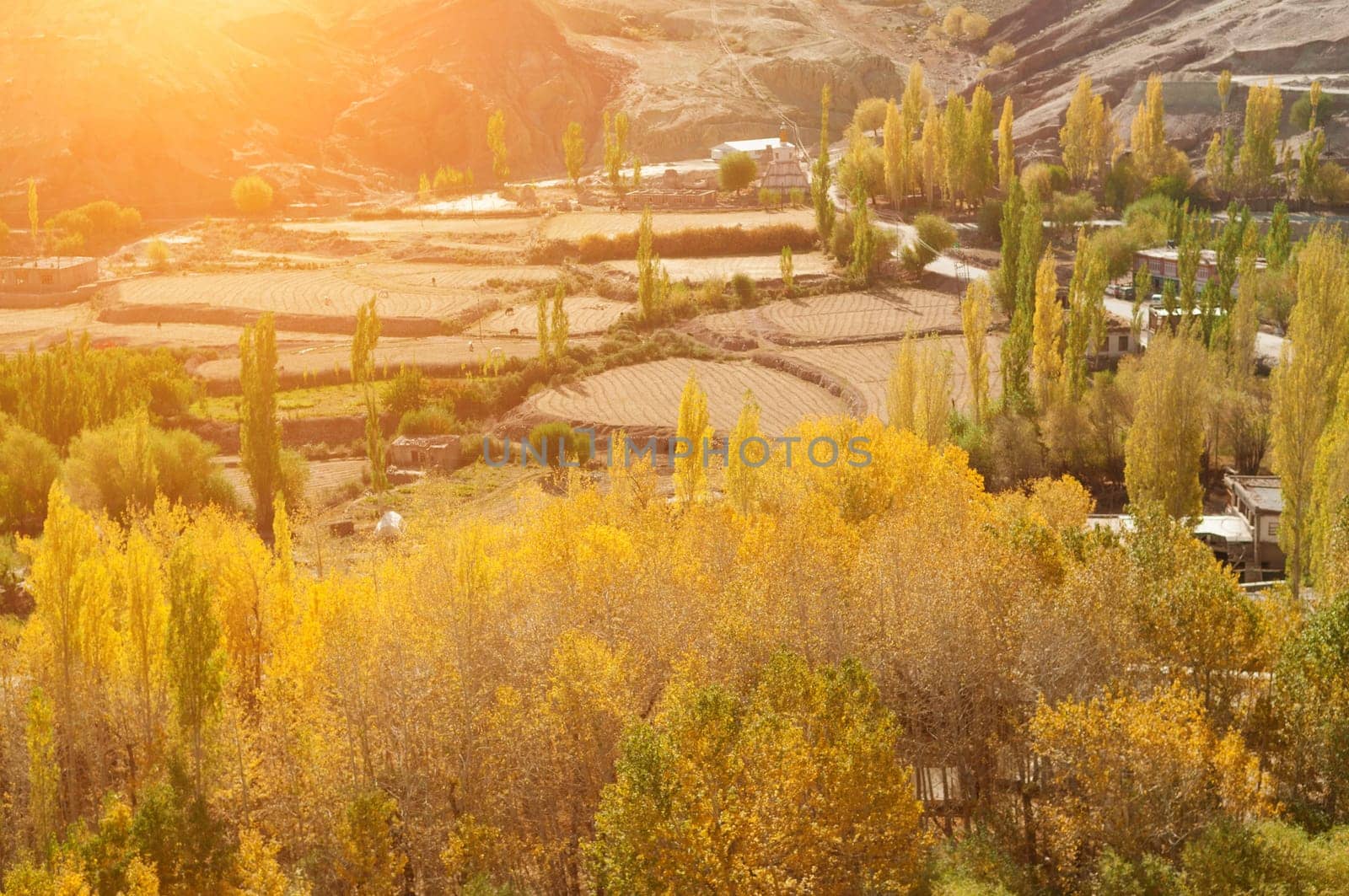 Beautiful landscape in small village at Leh during falls, Ladakh, India.