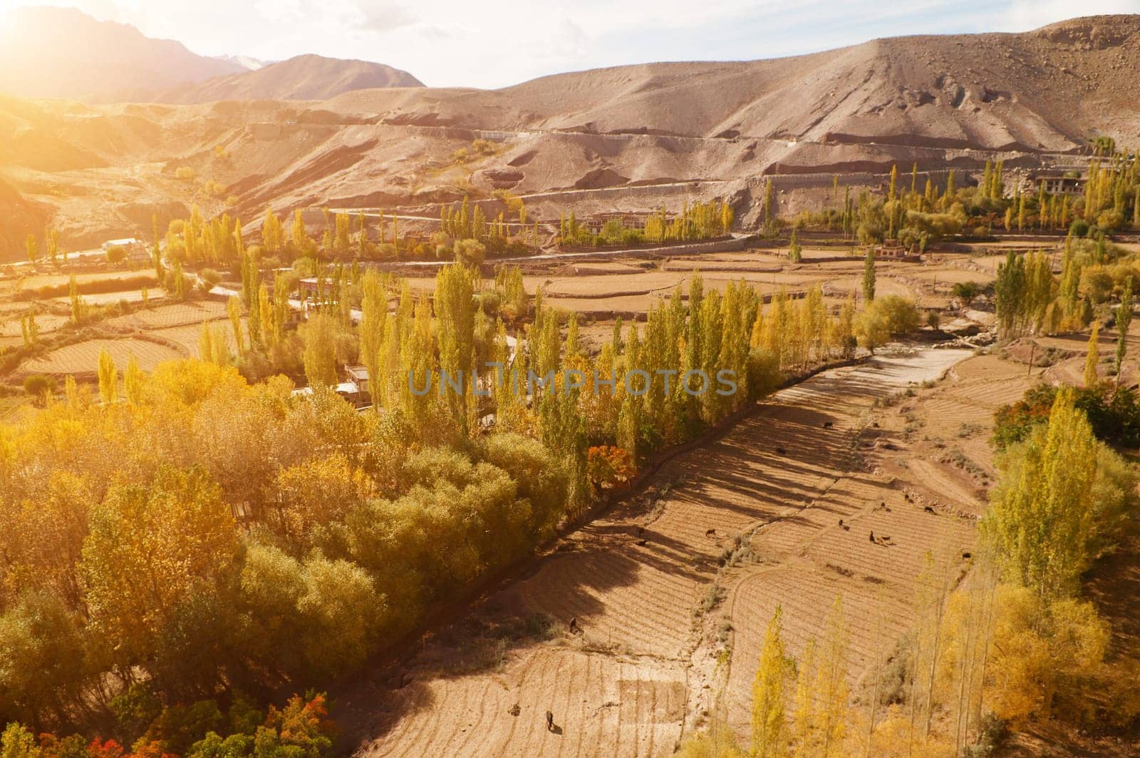 Beautiful scenery in small village at Leh during falls, Ladakh, India.