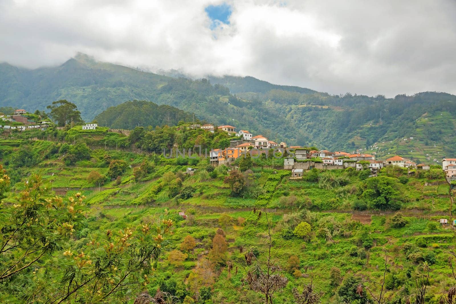 Madeiran landscape near Faial and Porto da Cruz