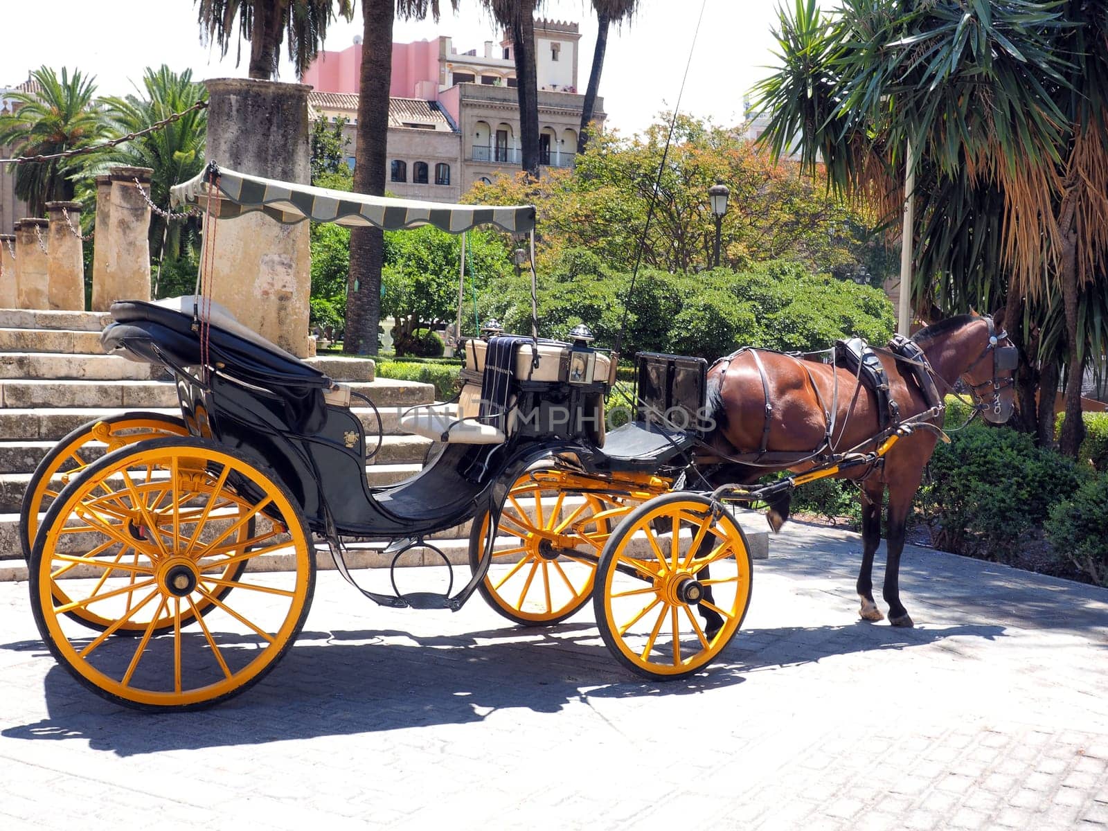 Traditional horse and carriage waiting for tourists