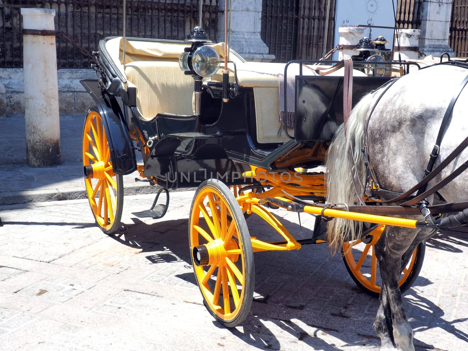 Traditional horse and carriage waiting for tourists