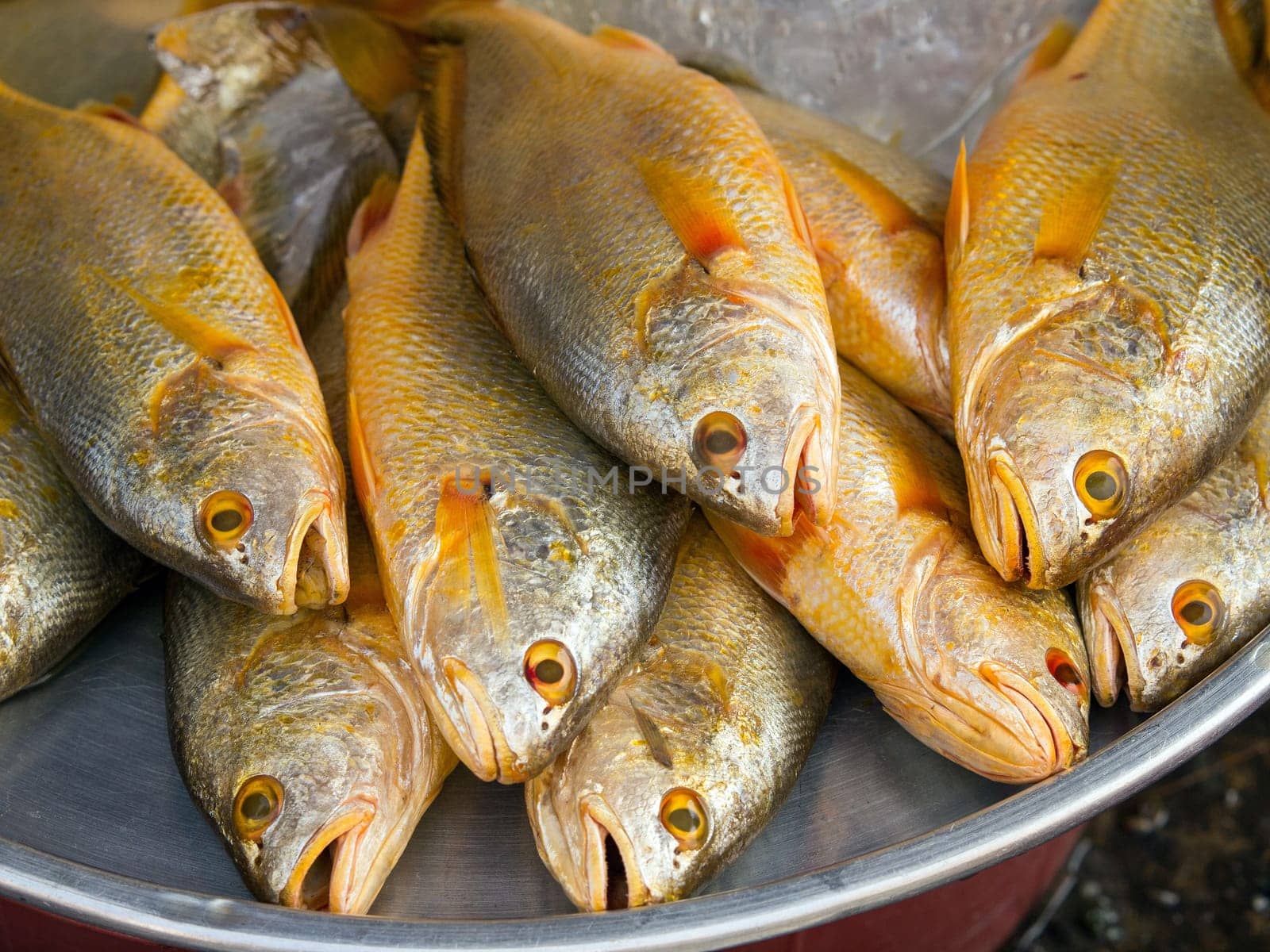 Fresh fish in the market ,Vietnam