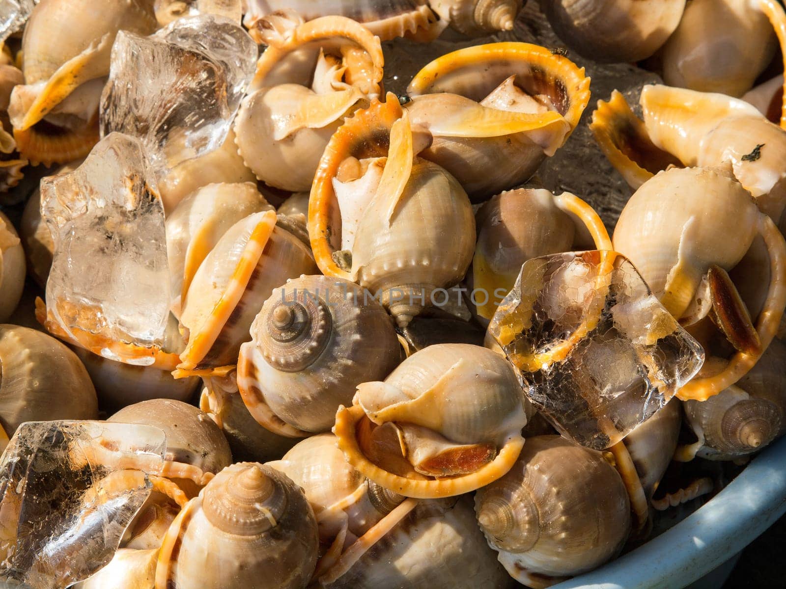 A background of mussels for sale at a market