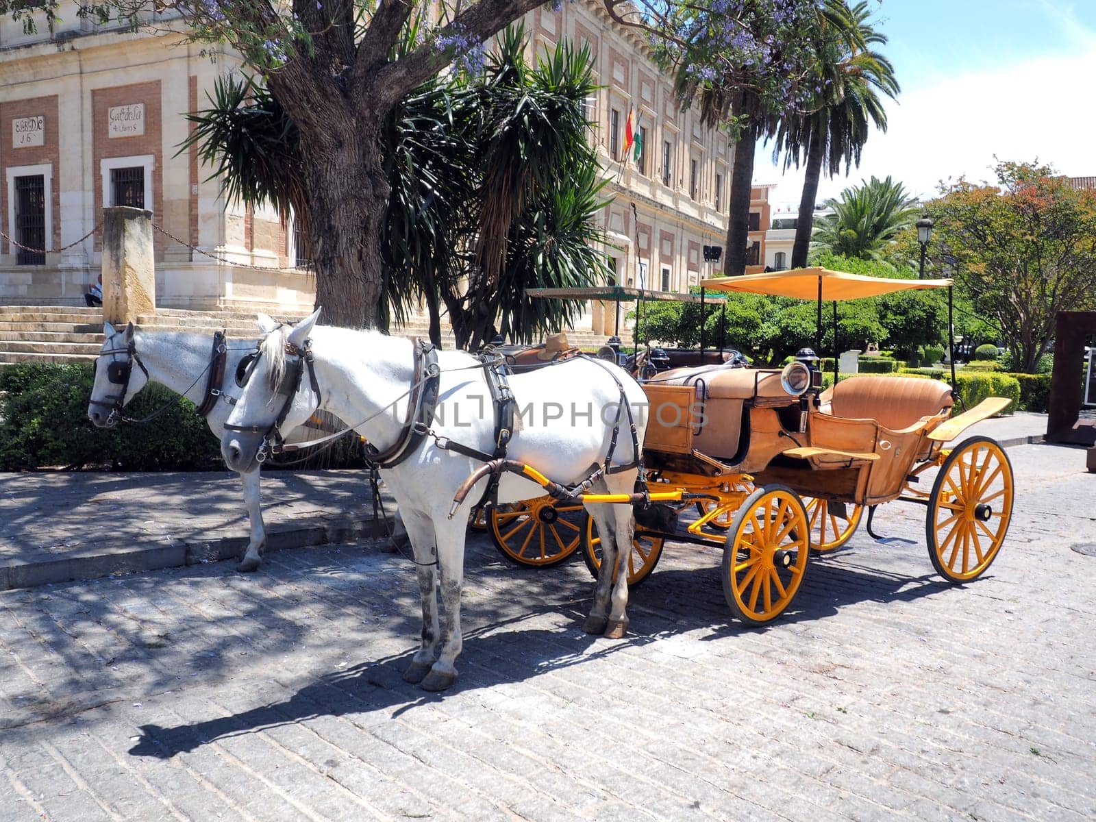Traditional horse and carriage waiting for tourists