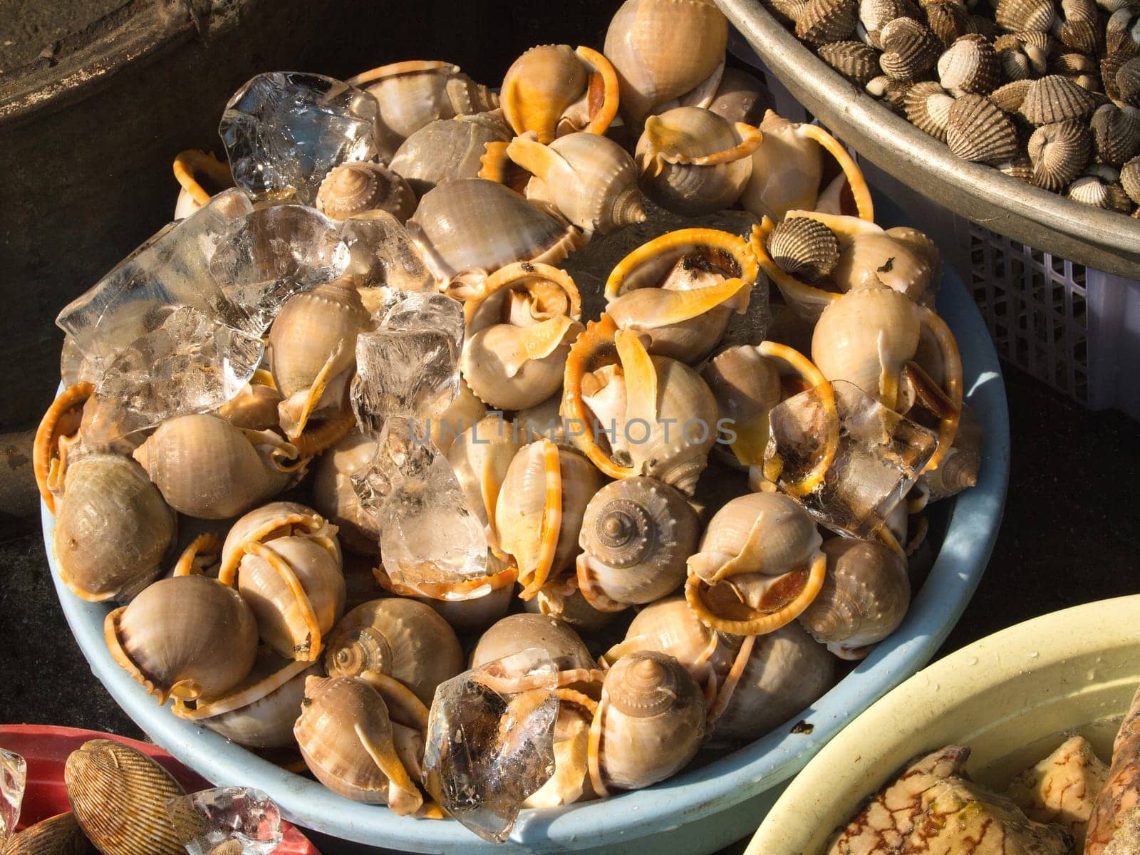 A background of mussels for sale at a market