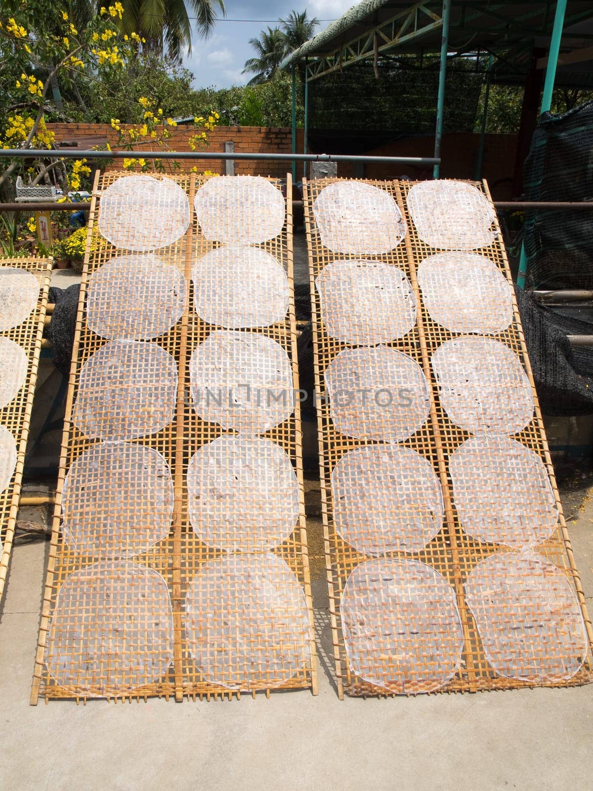 rice paper in mekong delta vietnam